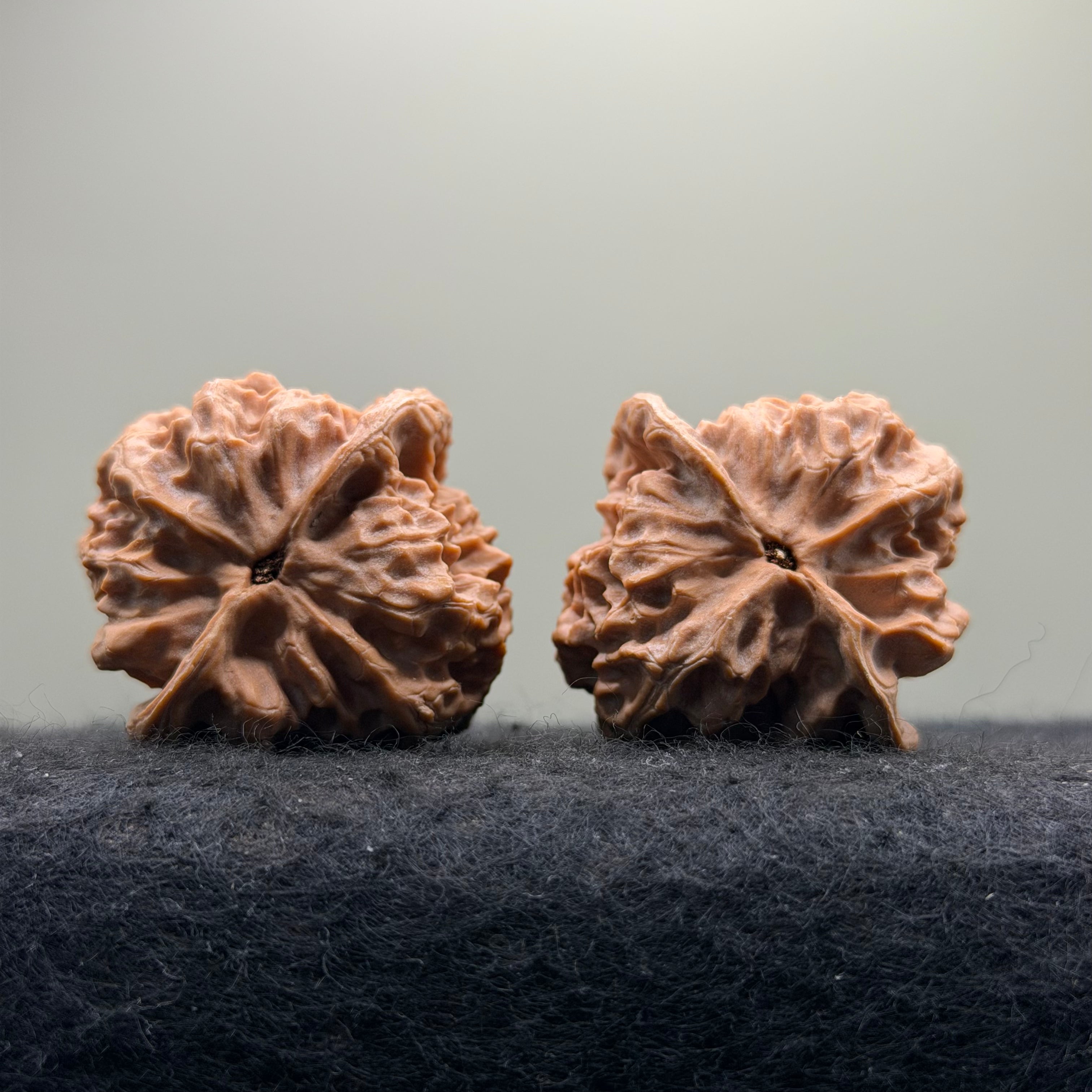 Linglong Wenwan Walnut · 39mm · Natural · Select Ritual