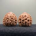 Mist Cloud Wenwan Walnut  · 38mm · Natural · Select Ritual