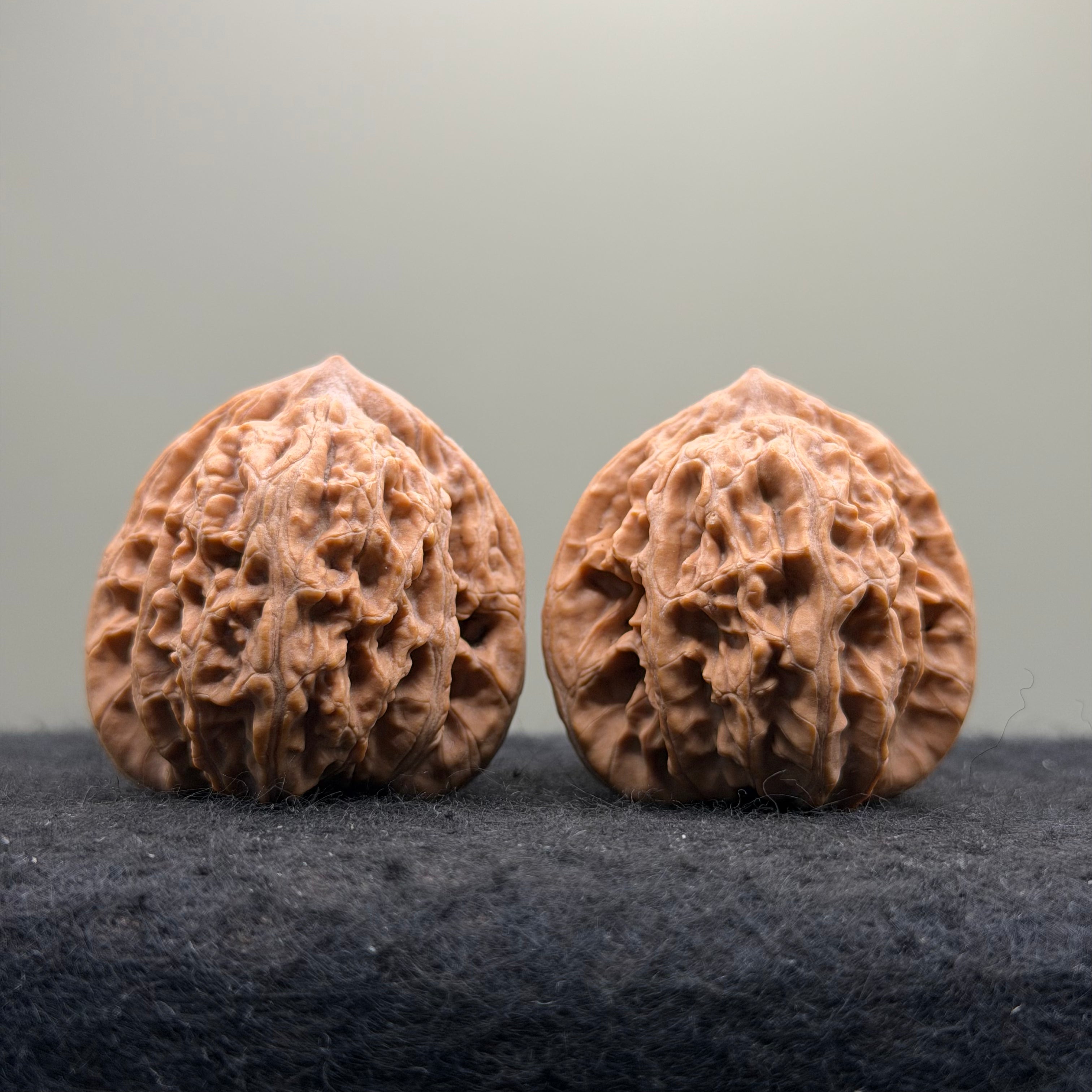 Mist Cloud Wenwan Walnut  · 38mm · Natural · Select Ritual