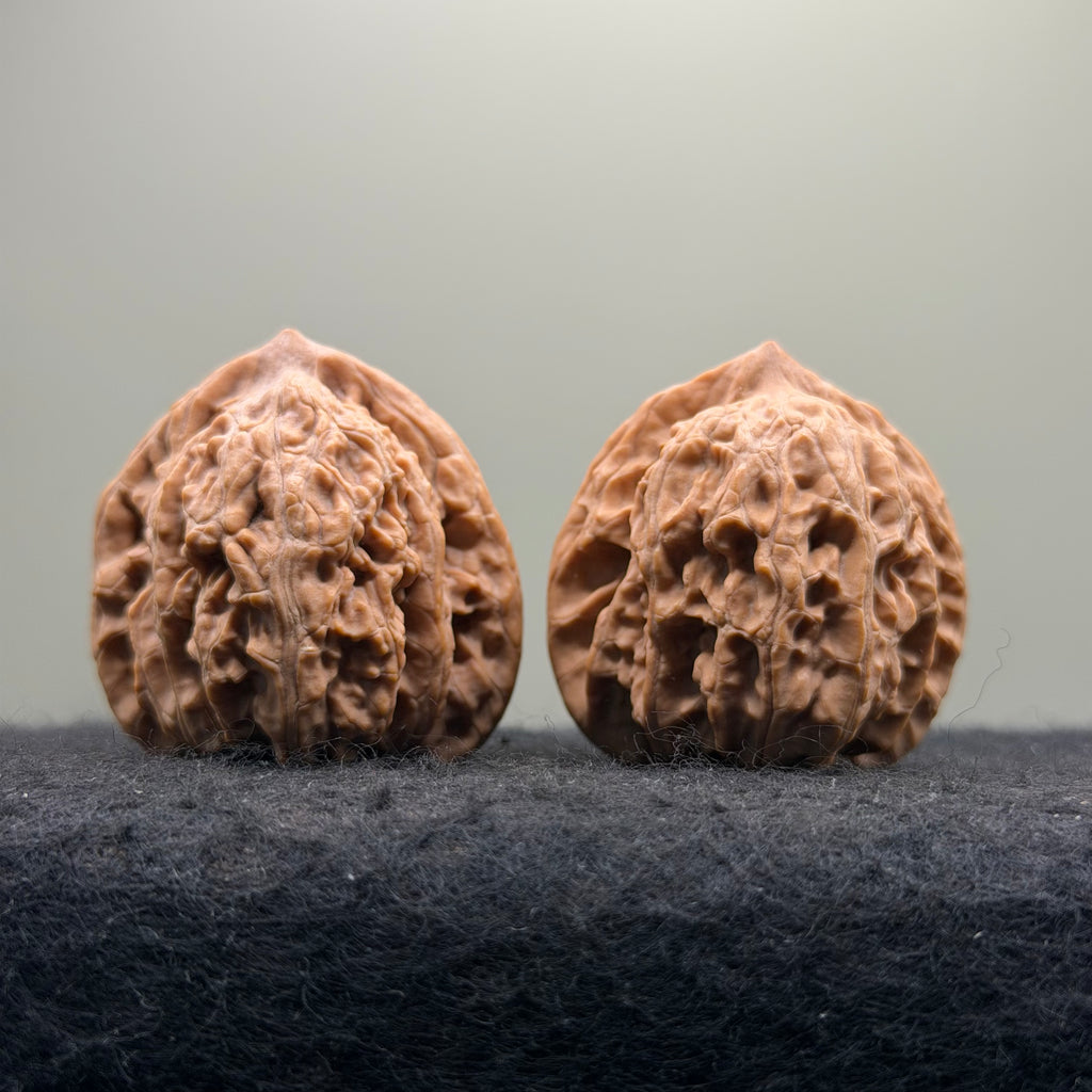 Mist Cloud Wenwan Walnut  · 38mm · Natural · Select Ritual