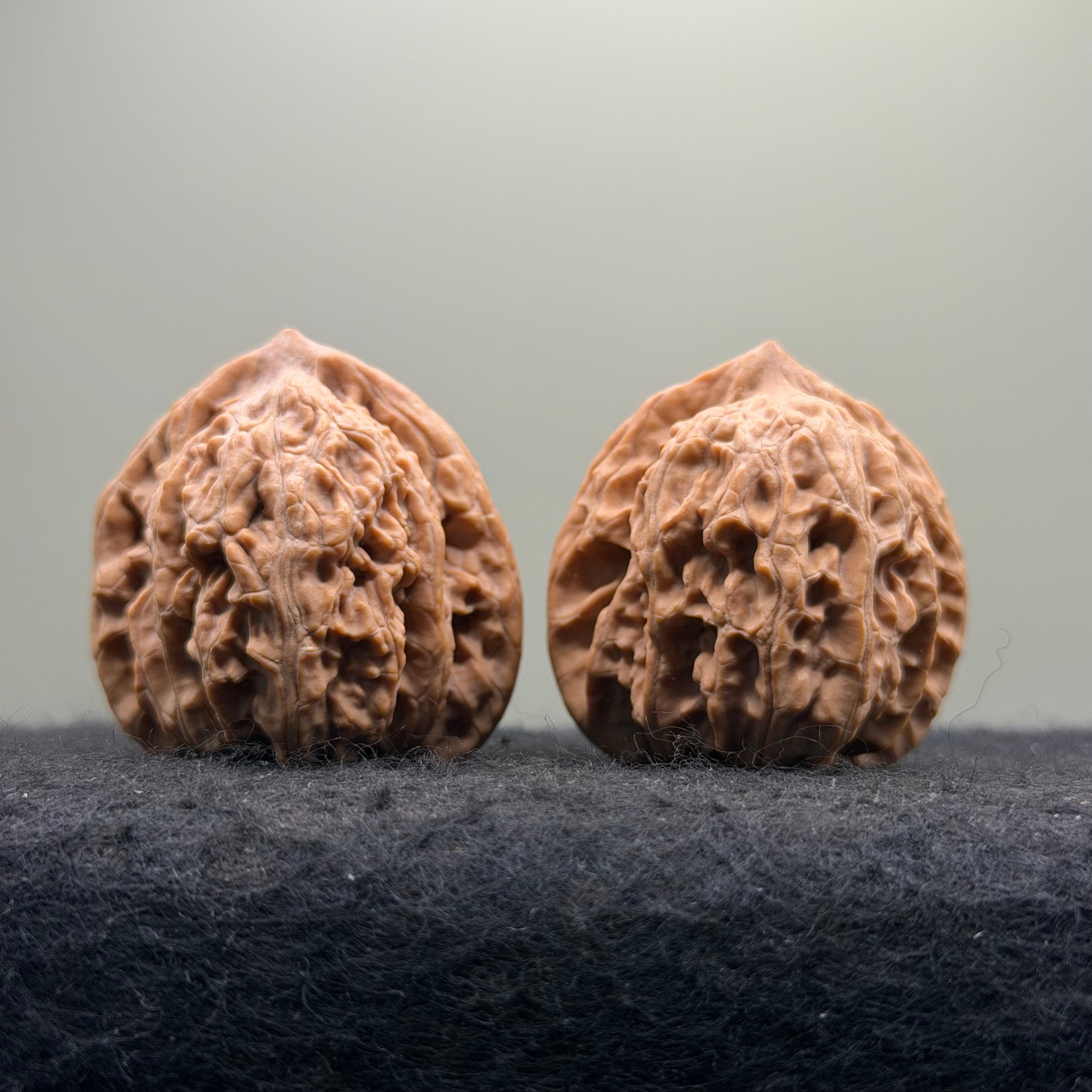 Mist Cloud Wenwan Walnut  · 38mm · Natural · Select Ritual