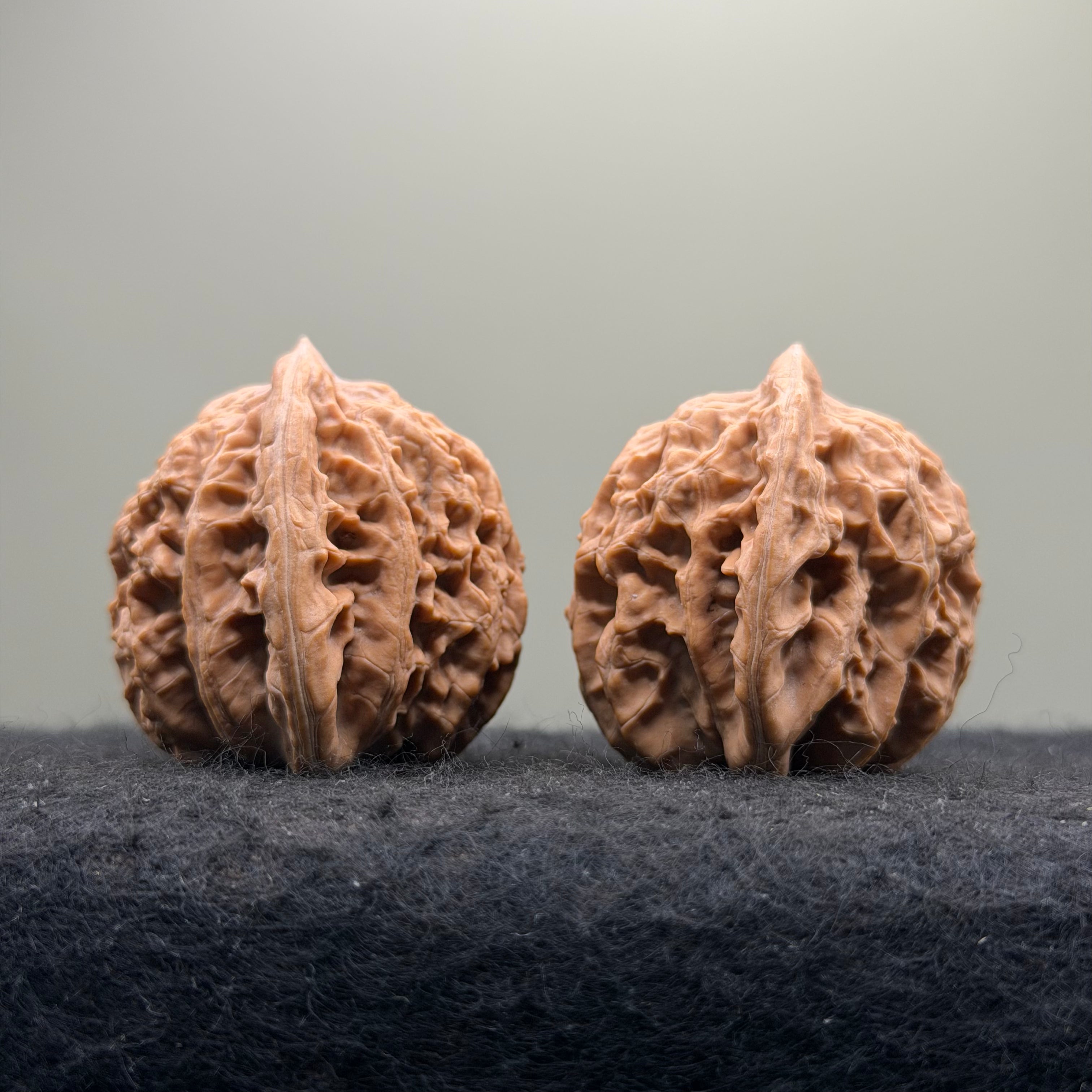 Mist Cloud Wenwan Walnut  · 38mm · Natural · Select Ritual