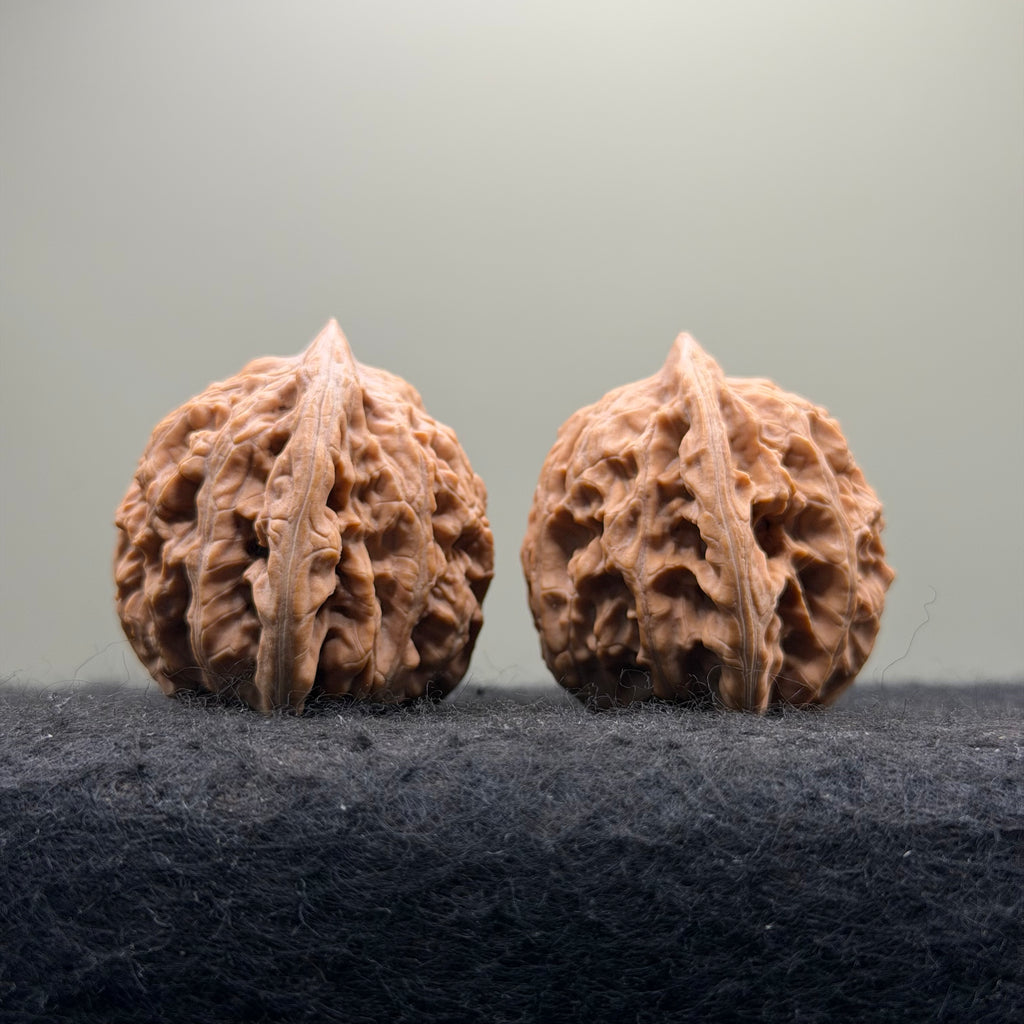 Mist Cloud Wenwan Walnut  · 38mm · Natural · Select Ritual