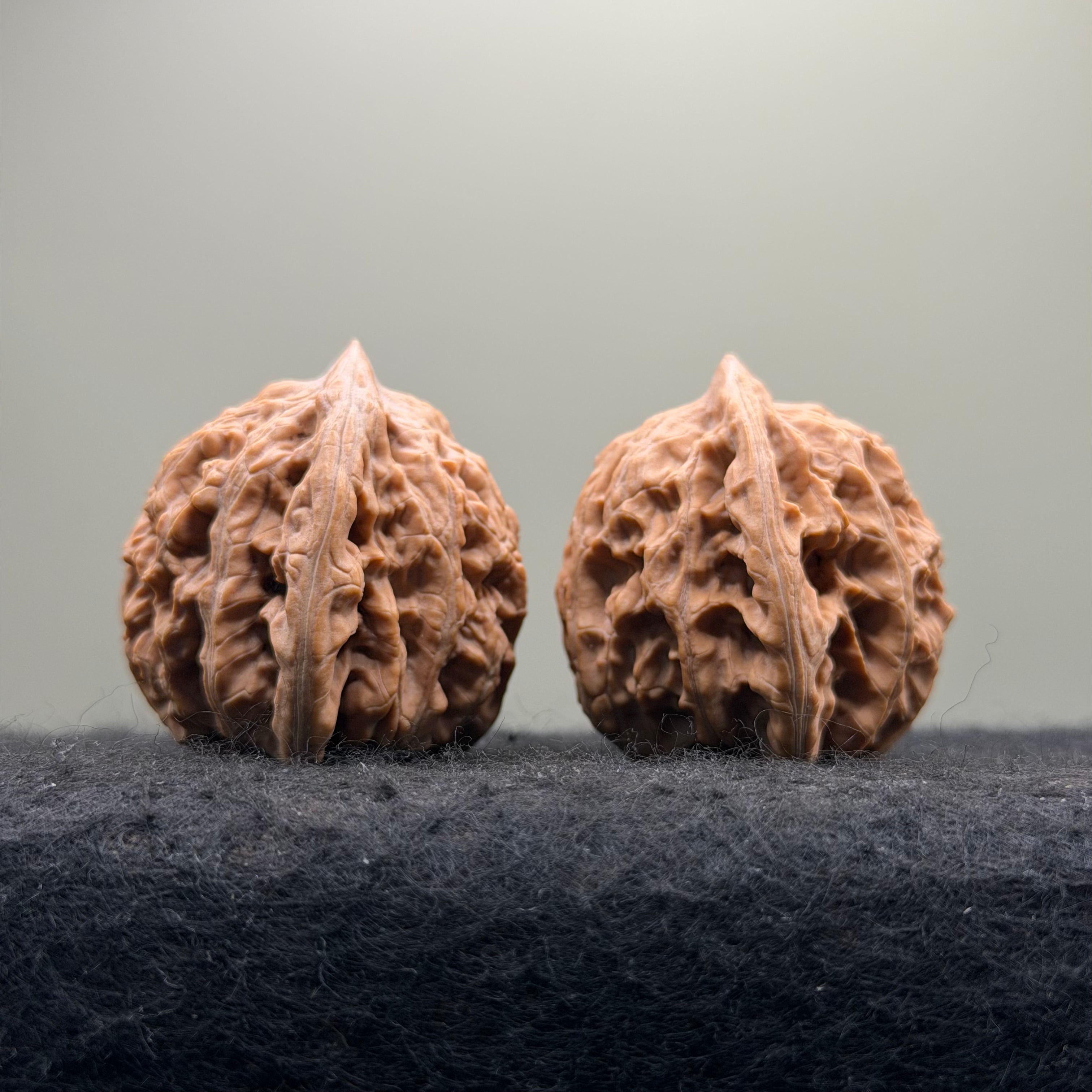 Mist Cloud Wenwan Walnut  · 38mm · Natural · Select Ritual