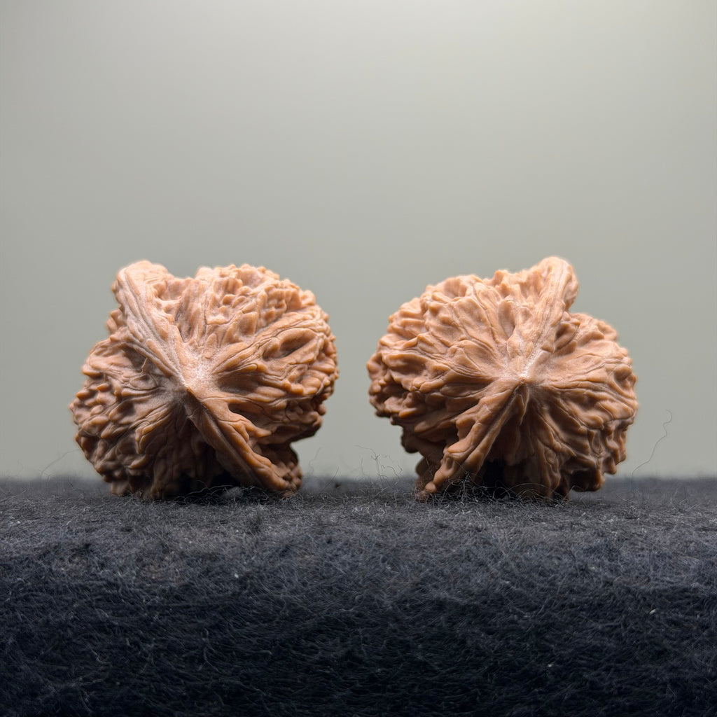 Mist Cloud Wenwan Walnut  · 38mm · Natural · Select Ritual