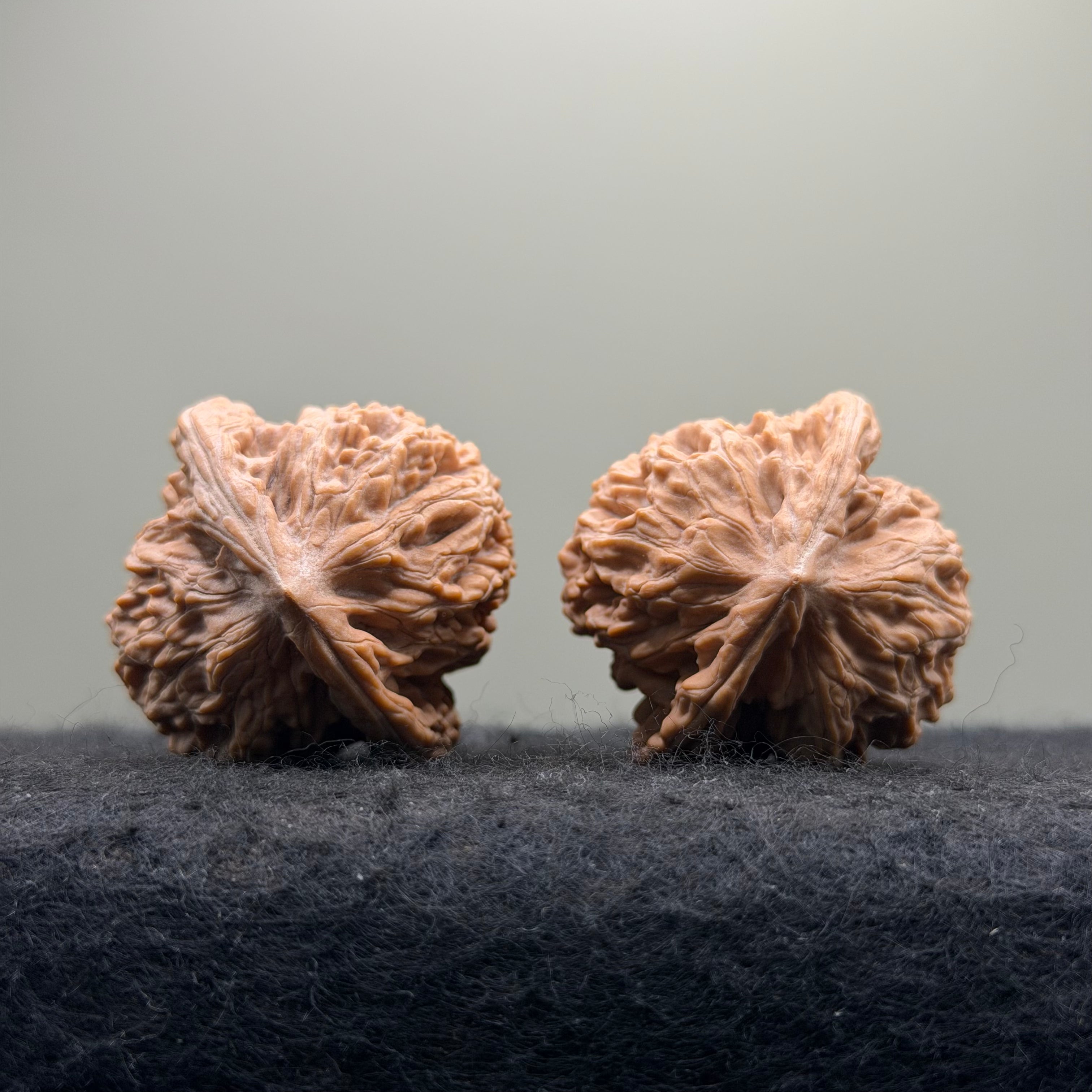 Mist Cloud Wenwan Walnut  · 38mm · Natural · Select Ritual