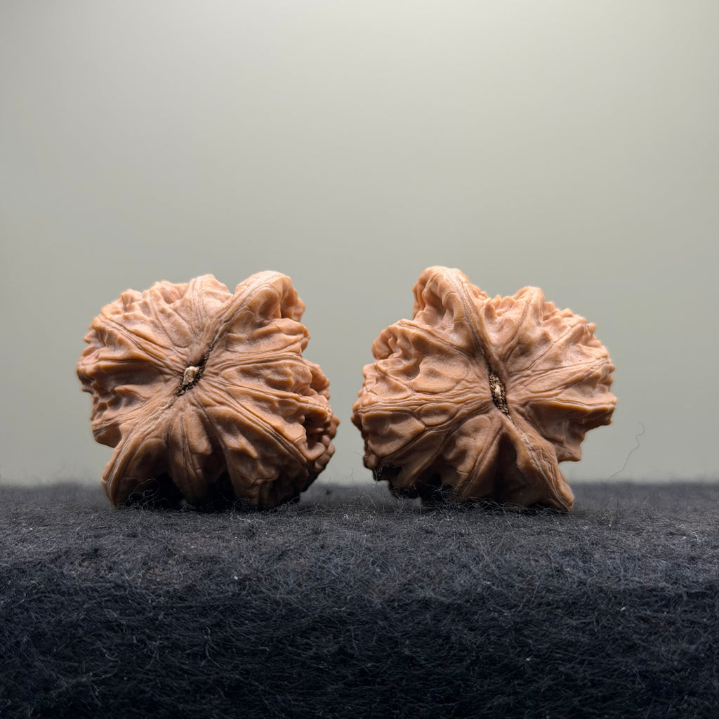 Mist Cloud Wenwan Walnut  · 38mm · Natural · Select Ritual