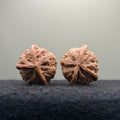 Three-Rib Wenwan Walnut · 38mm · Natural · Entry Ritual