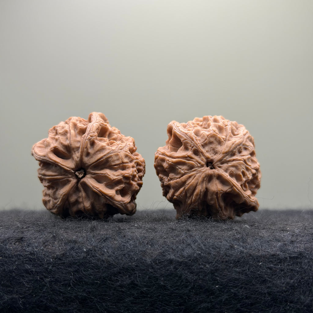 Three-Rib Wenwan Walnut · 38mm · Natural · Entry Ritual