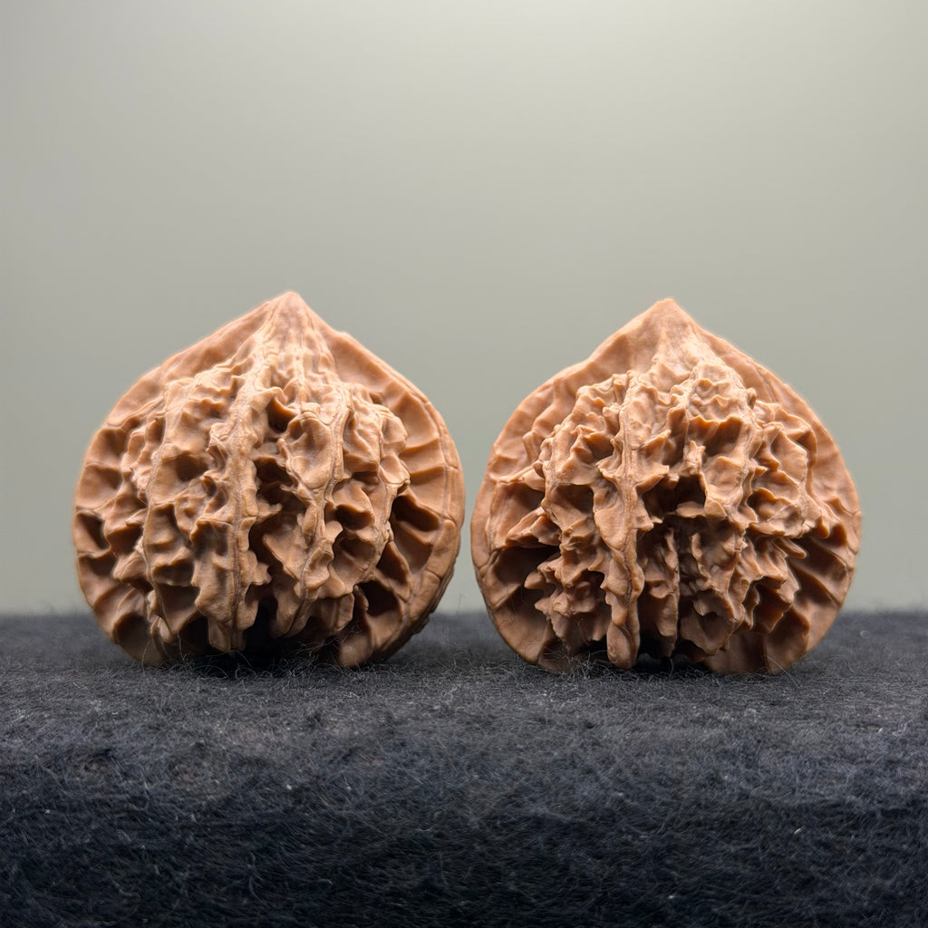 Qinling Lantern Wenwan Walnut · 41mm · Natural · Select Ritual