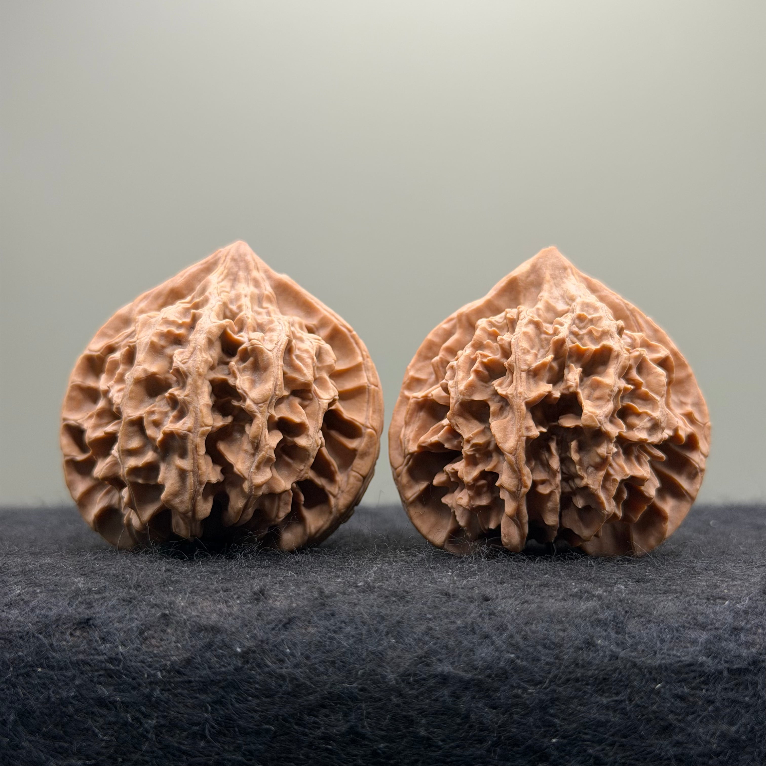 Qinling Lantern Wenwan Walnut · 41mm · Natural · Select Ritual