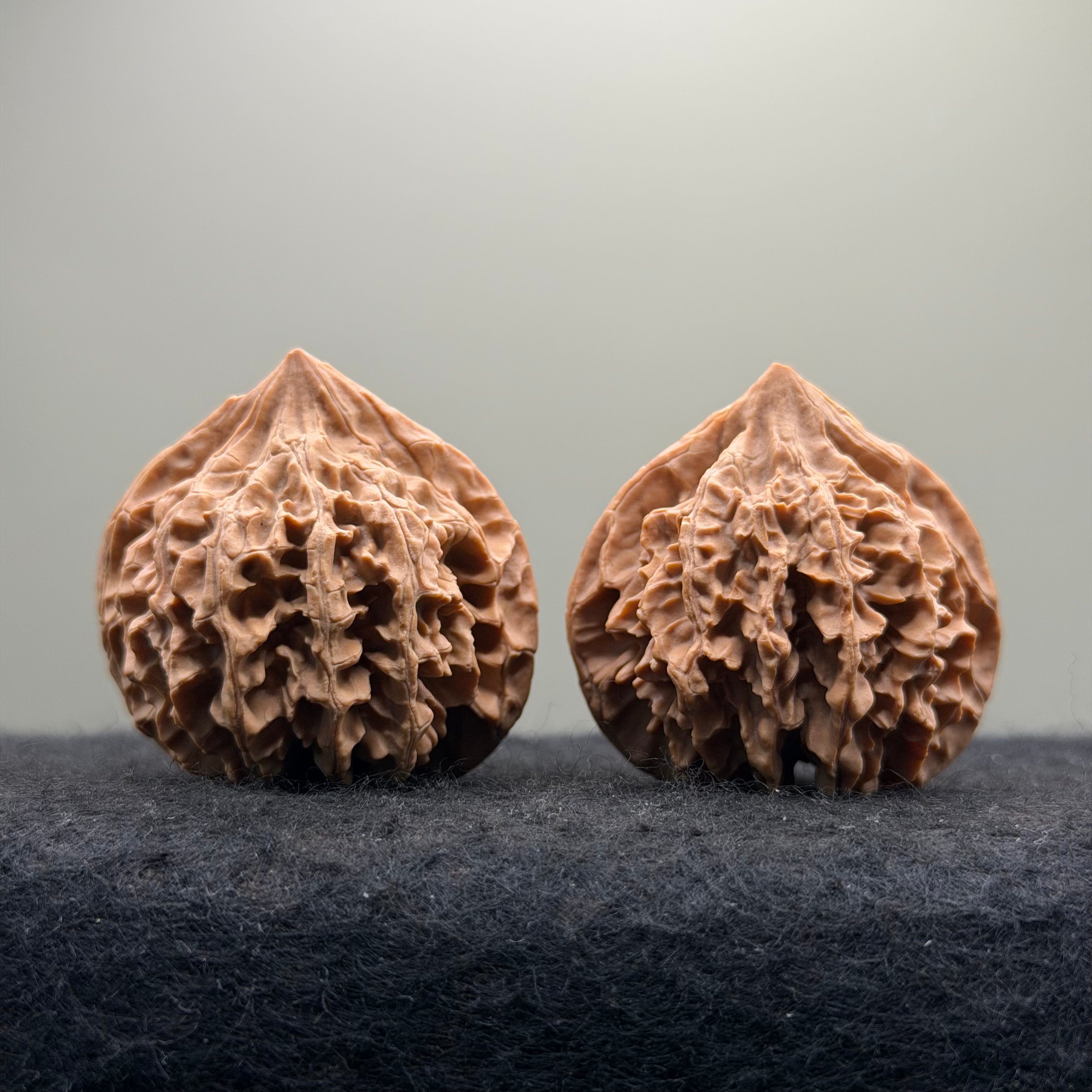 Qinling Lantern Wenwan Walnut · 41mm · Natural · Select Ritual