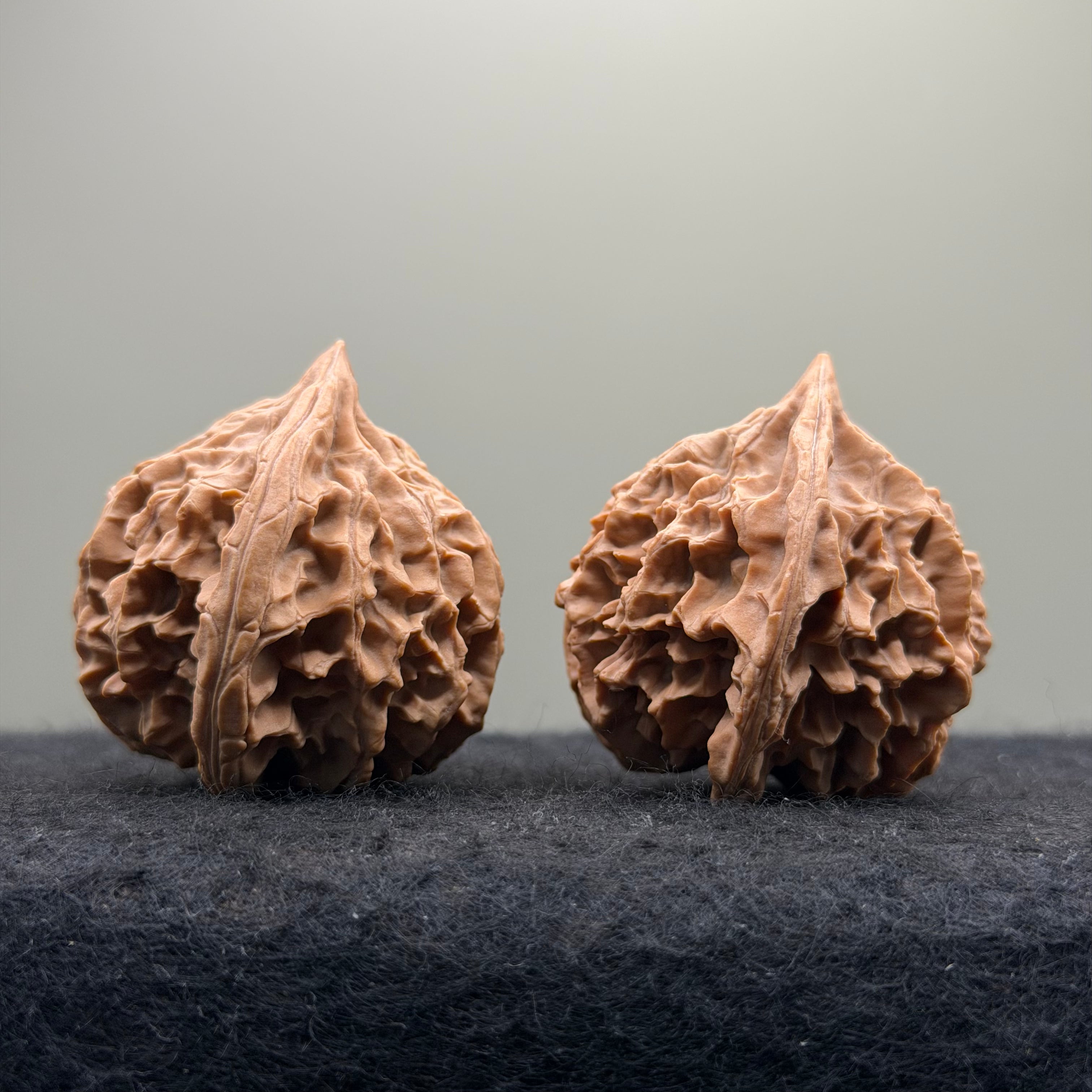 Qinling Lantern Wenwan Walnut · 41mm · Natural · Select Ritual