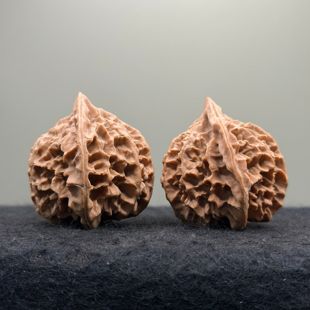 Qinling Lantern Wenwan Walnut · 41mm · Natural · Select Ritual
