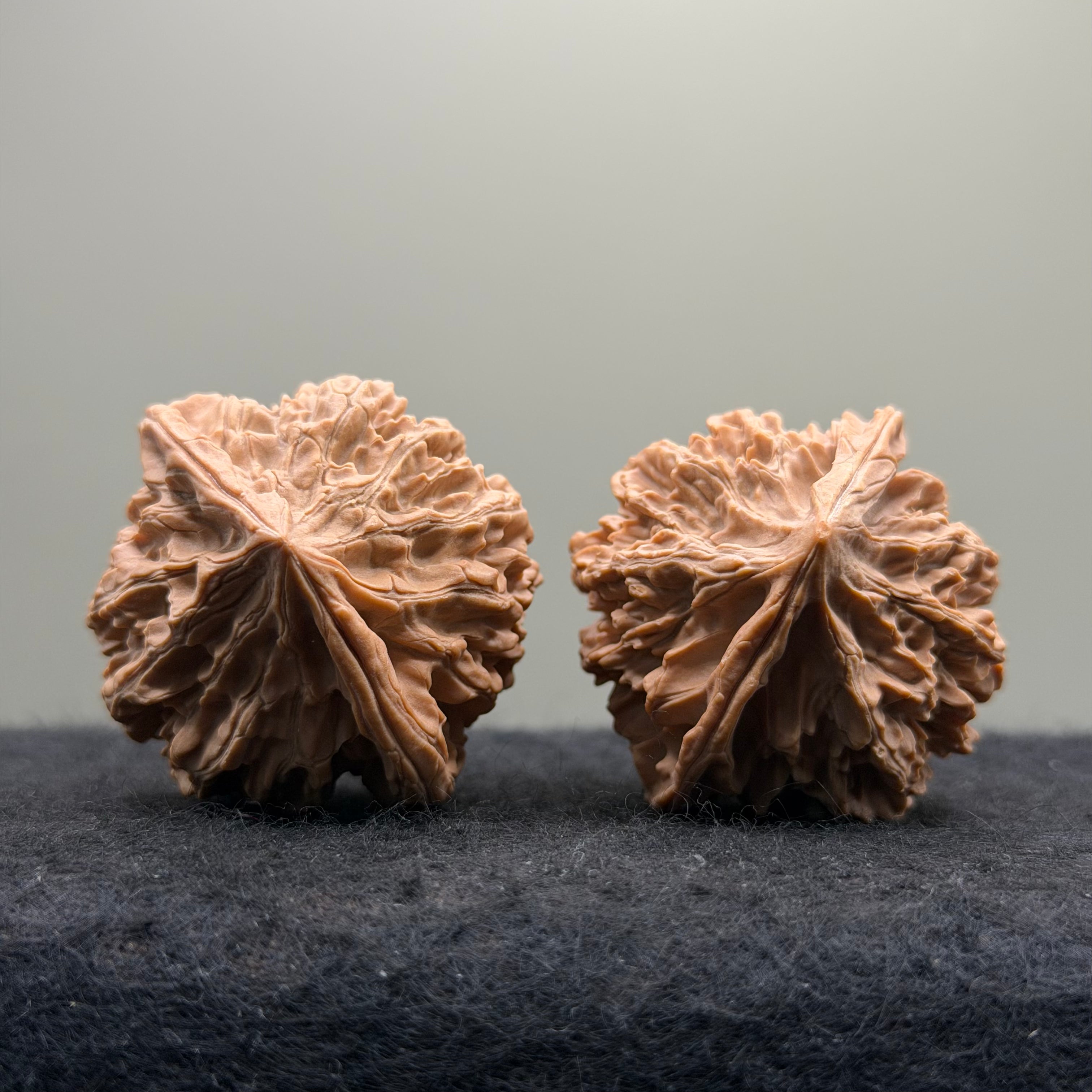 Qinling Lantern Wenwan Walnut · 41mm · Natural · Select Ritual