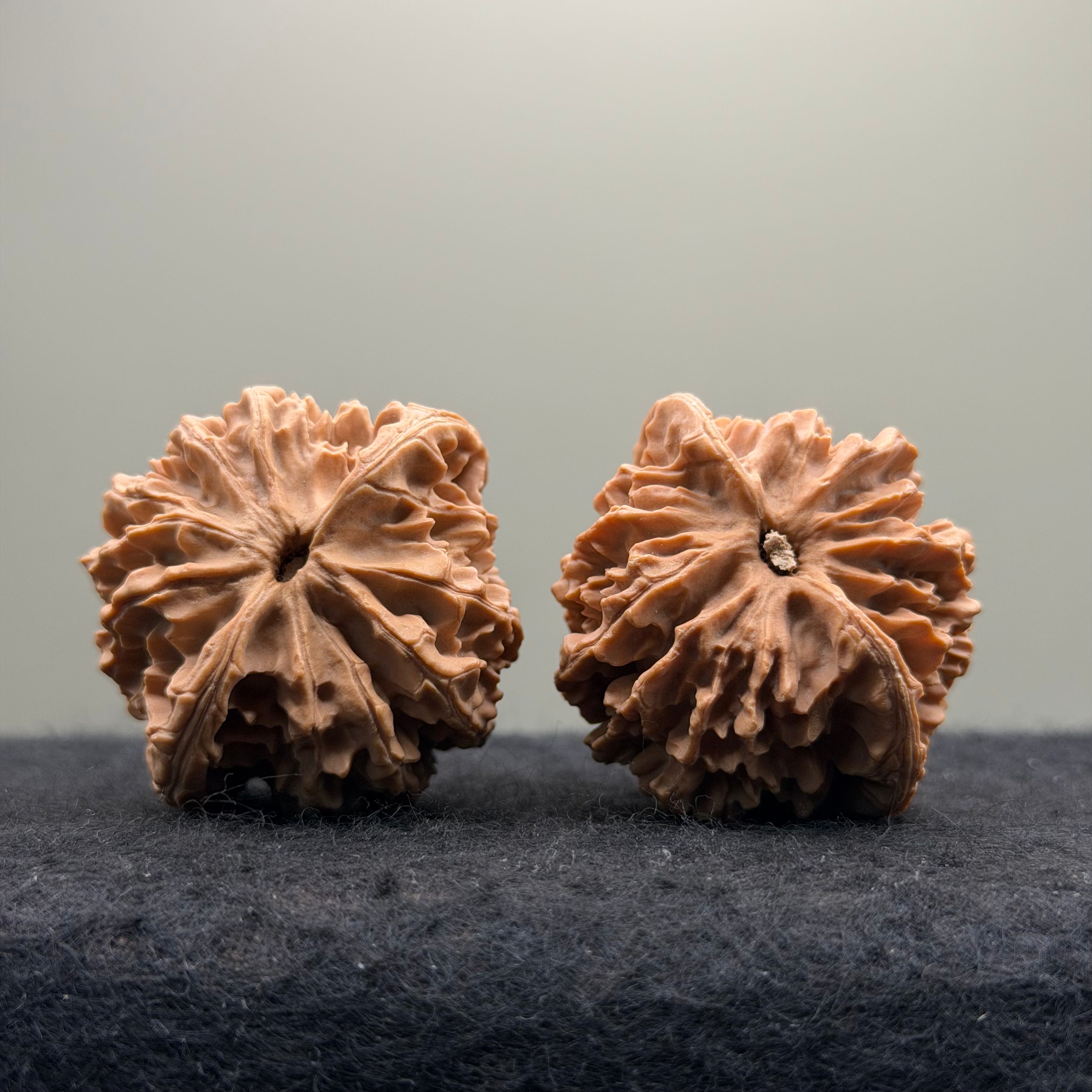 Qinling Lantern Wenwan Walnut · 41mm · Natural · Select Ritual