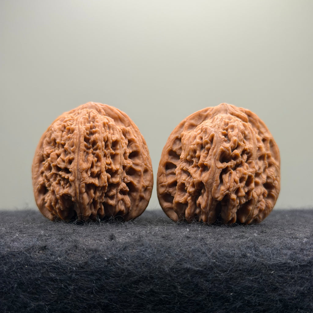 Ant King Wenwan Walnut  · 40mm · Natural · Select Ritual