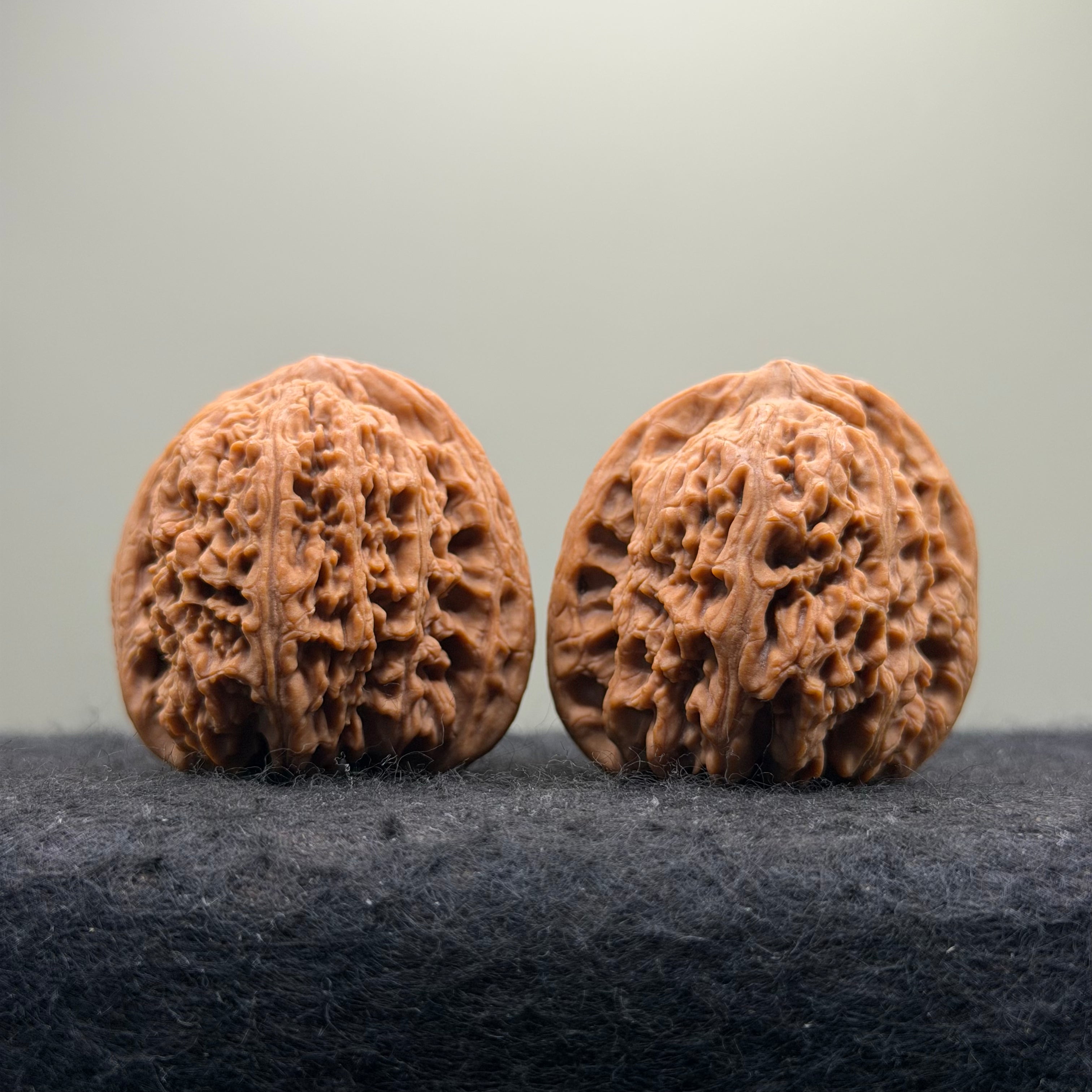 Ant King Wenwan Walnut  · 40mm · Natural · Select Ritual