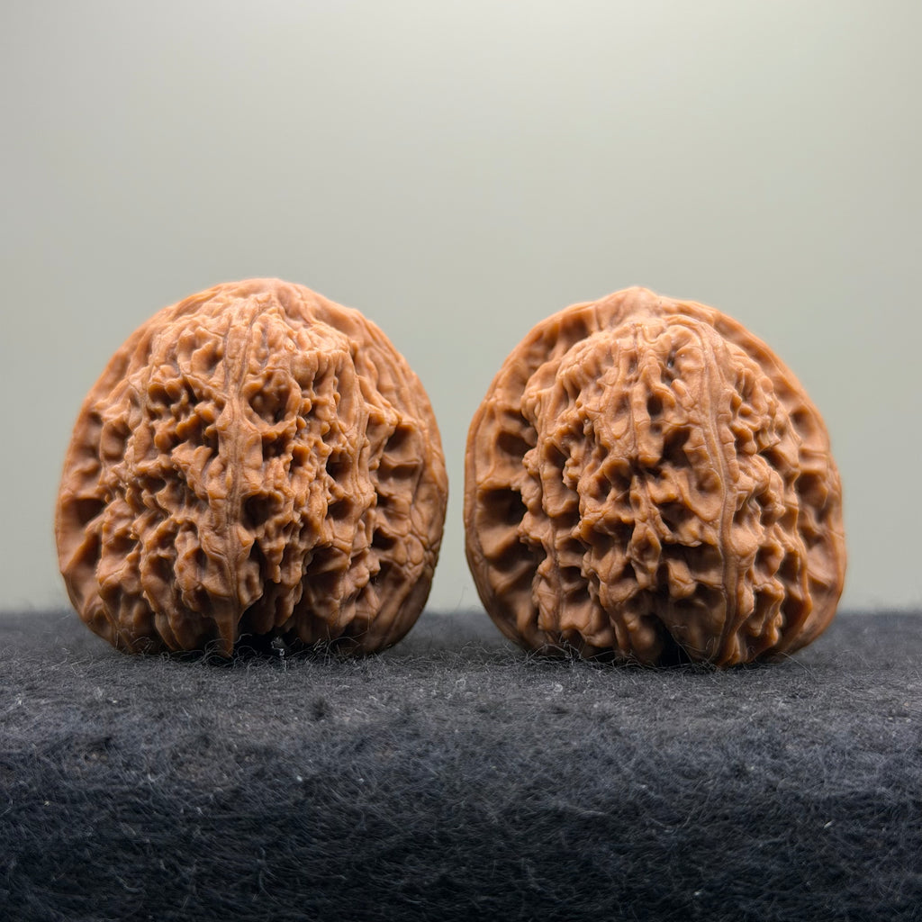 Ant King Wenwan Walnut  · 40mm · Natural · Select Ritual