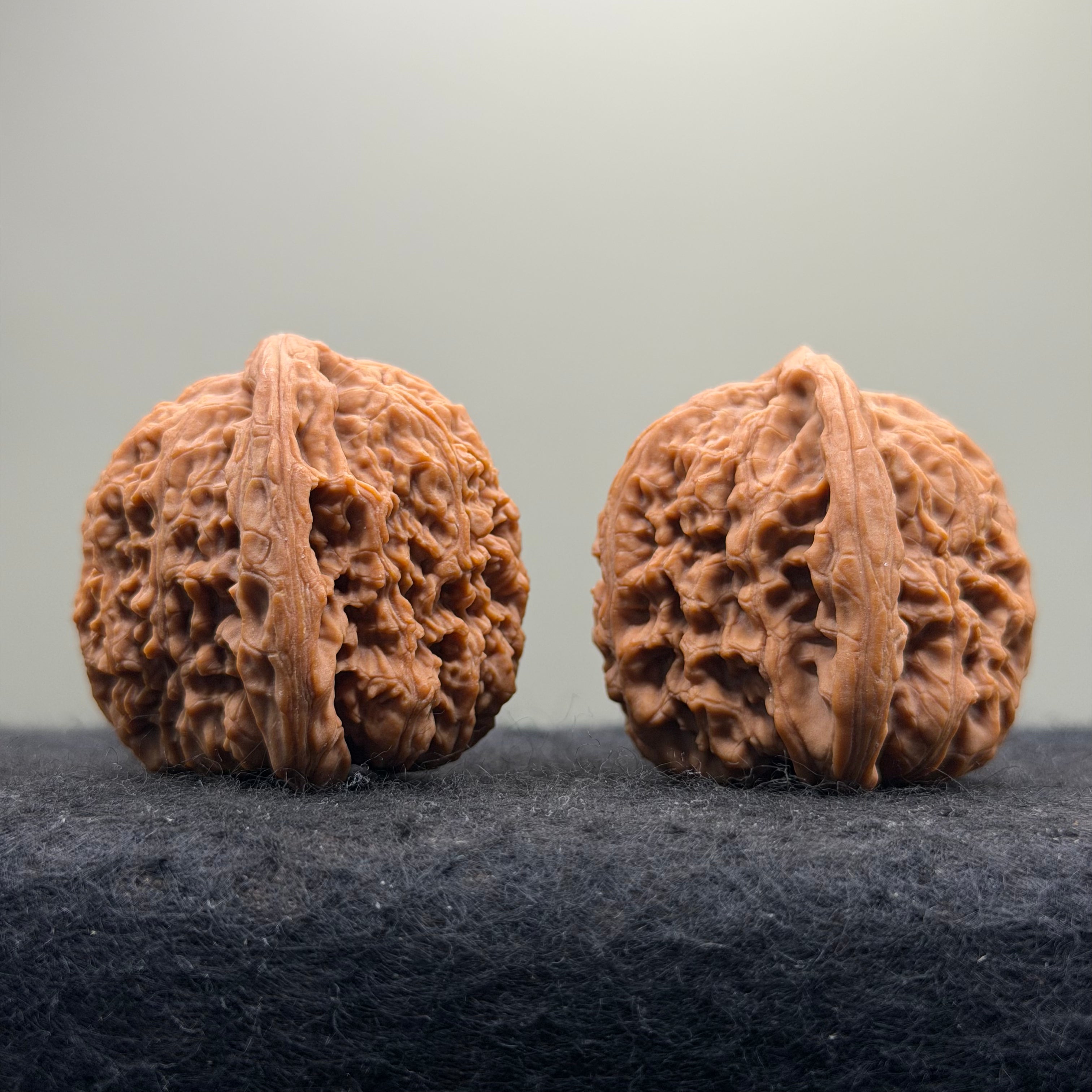 Ant King Wenwan Walnut  · 40mm · Natural · Select Ritual