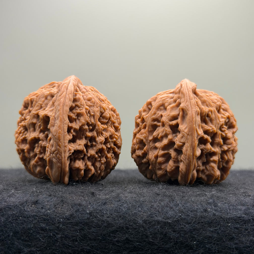 Ant King Wenwan Walnut  · 40mm · Natural · Select Ritual