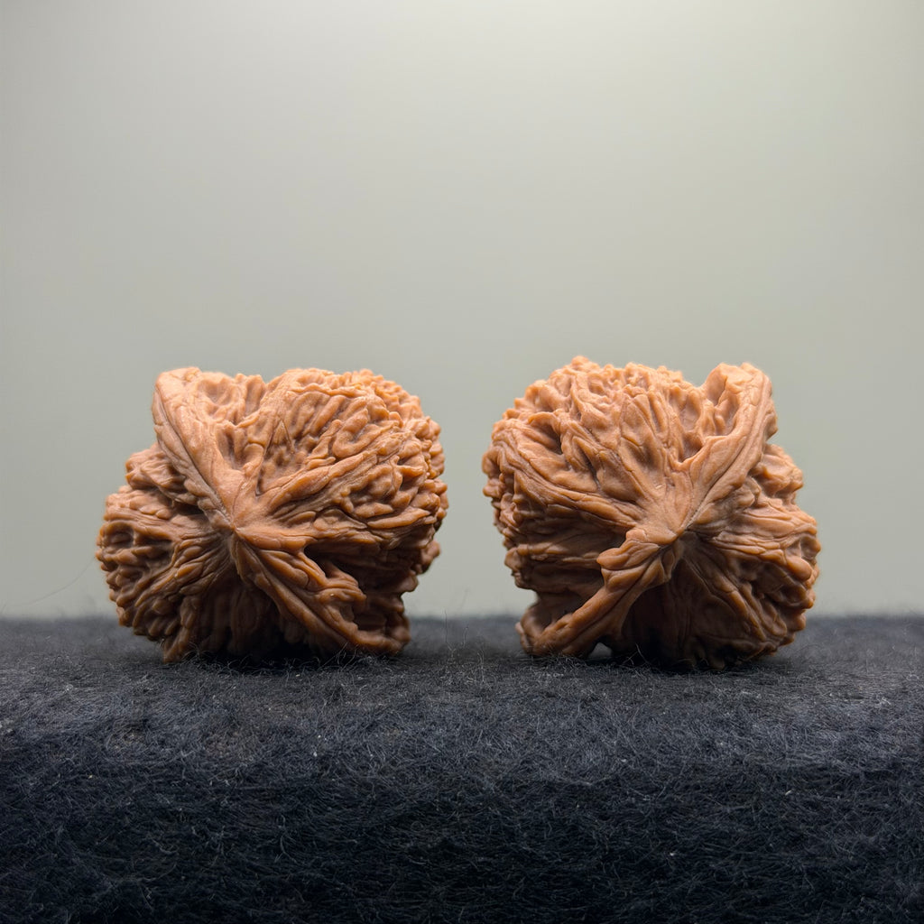 Ant King Wenwan Walnut  · 40mm · Natural · Select Ritual