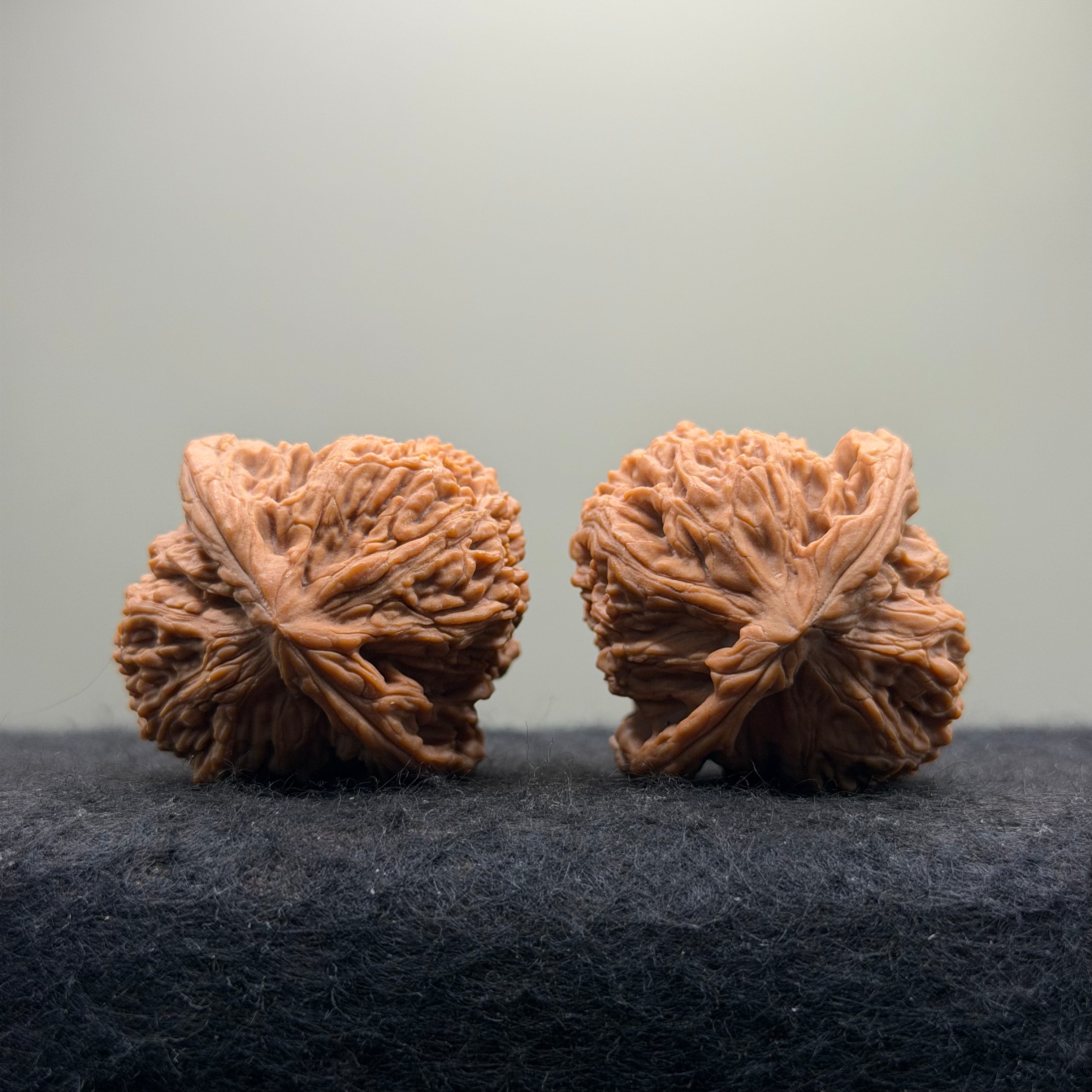 Ant King Wenwan Walnut  · 40mm · Natural · Select Ritual