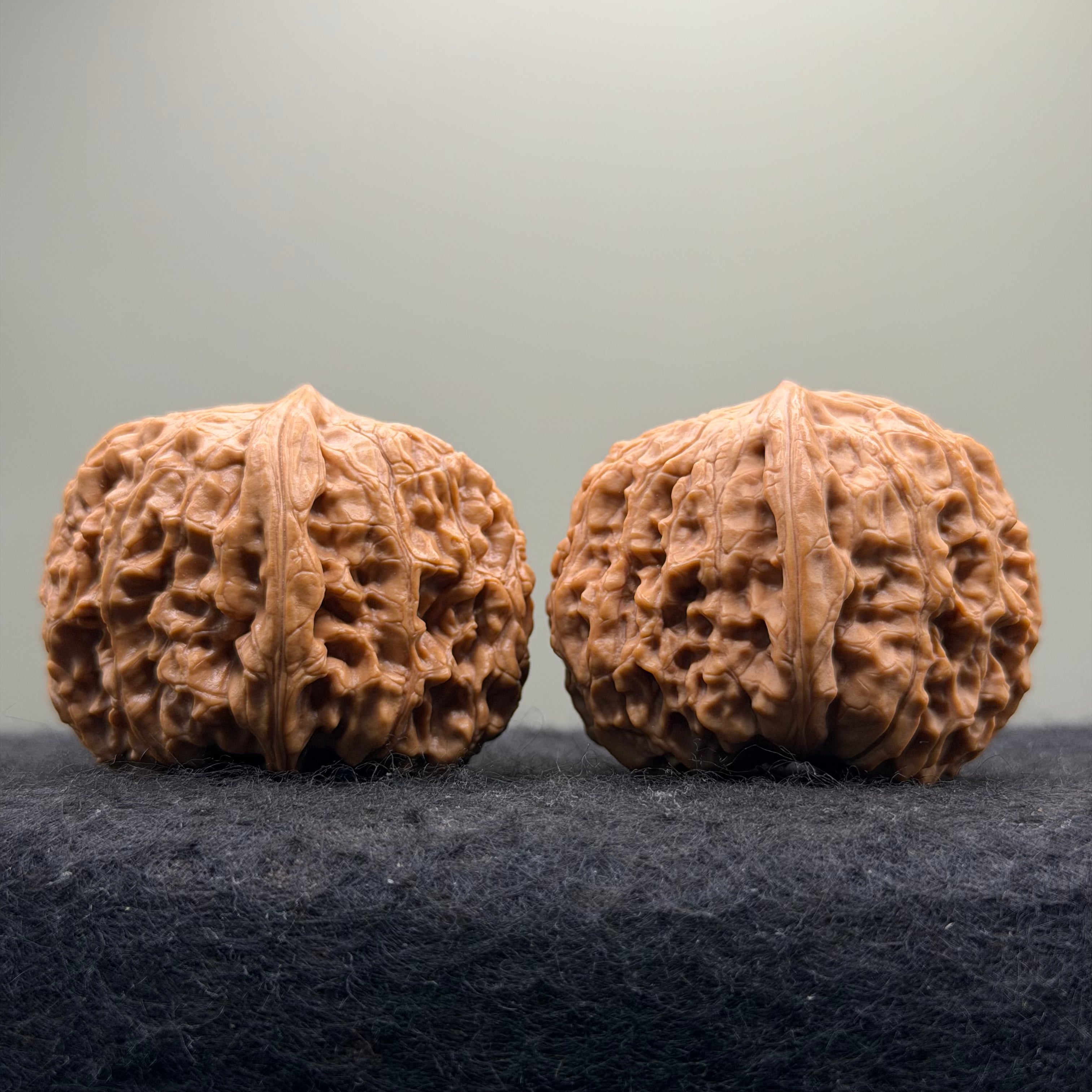 Donkey Roll Wenwan Walnut · 39mm · Natural · Select Ritual