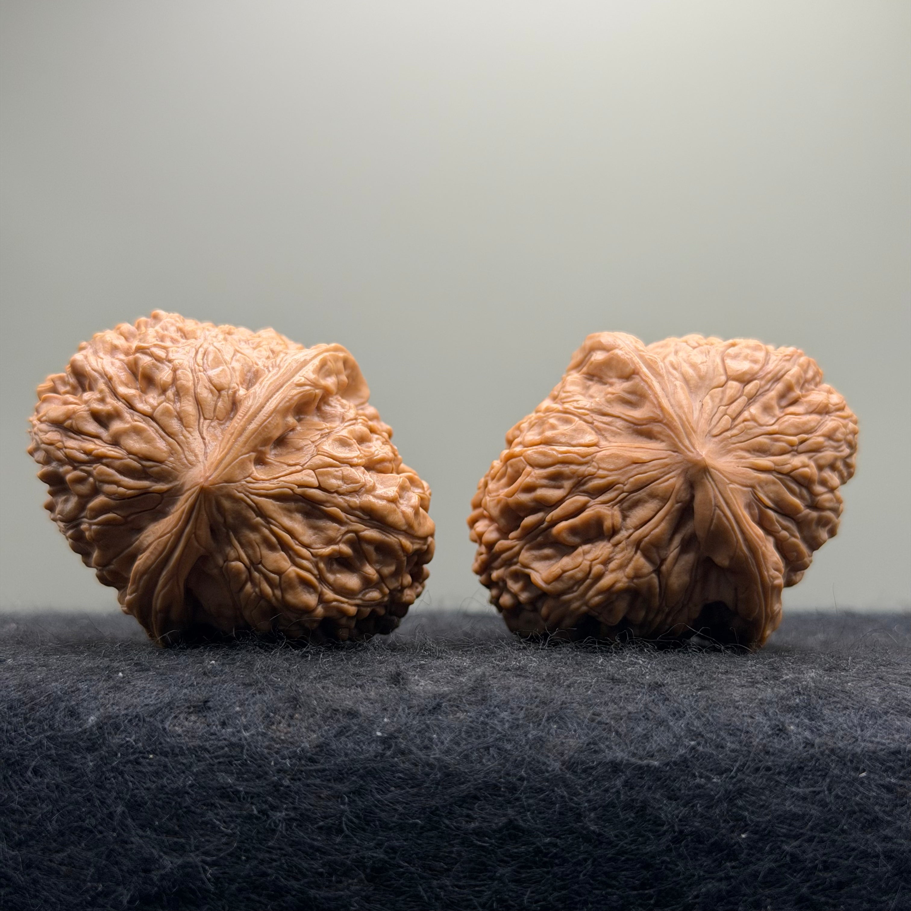 Donkey Roll Wenwan Walnut · 39mm · Natural · Select Ritual