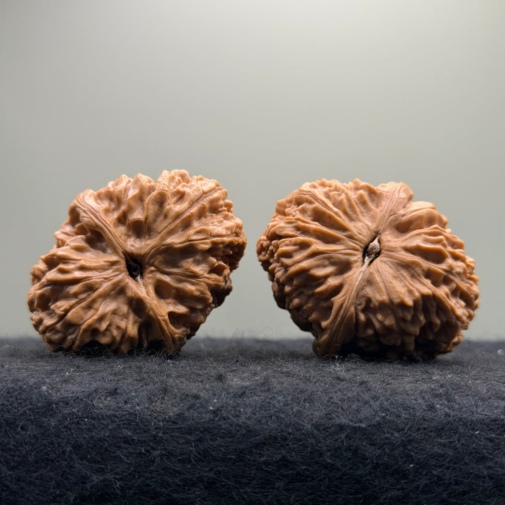 Donkey Roll Wenwan Walnut · 39mm · Natural · Select Ritual