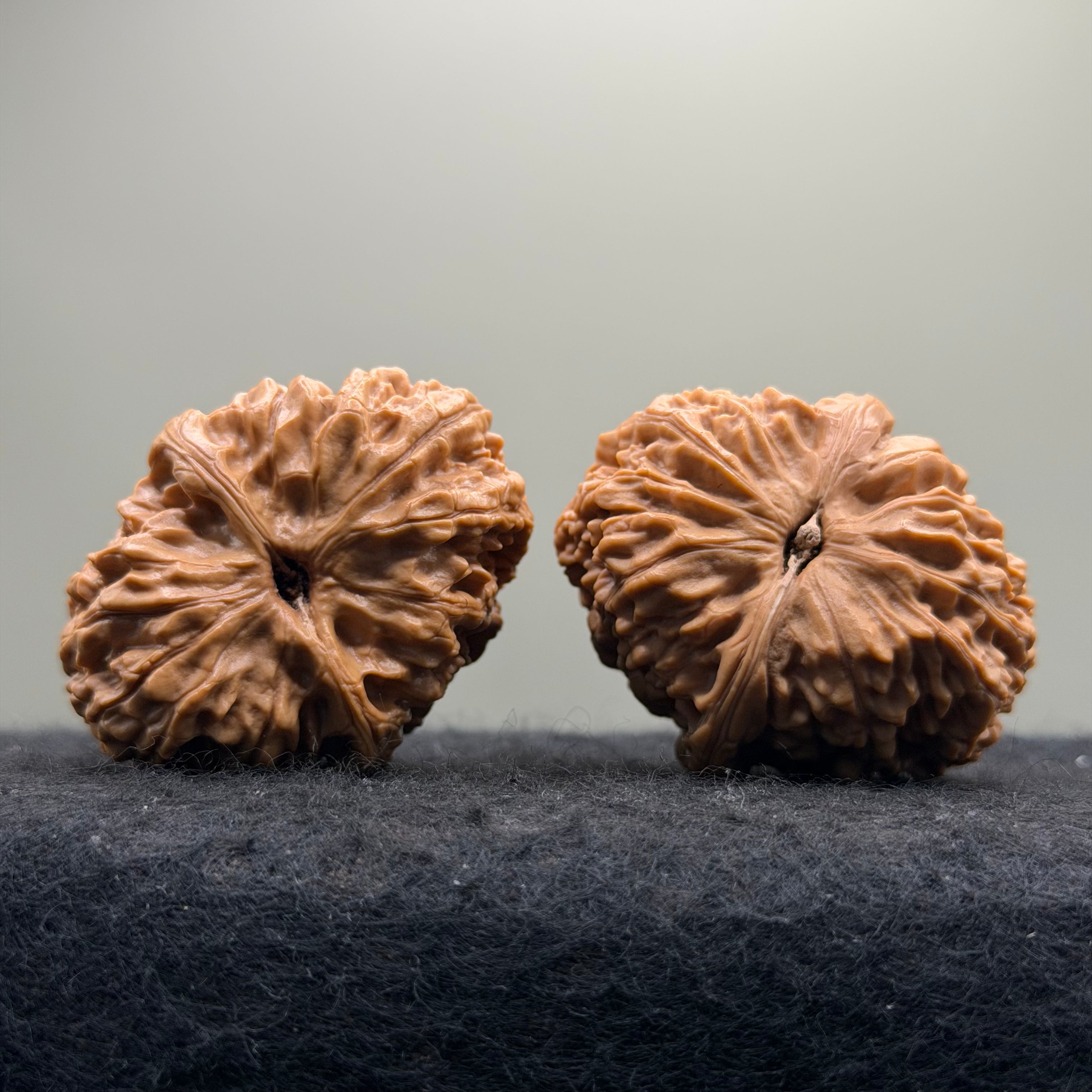 Donkey Roll Wenwan Walnut · 39mm · Natural · Select Ritual