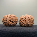 Ingot Wenwan Walnut  · 43mm · Natural · Select Ritual