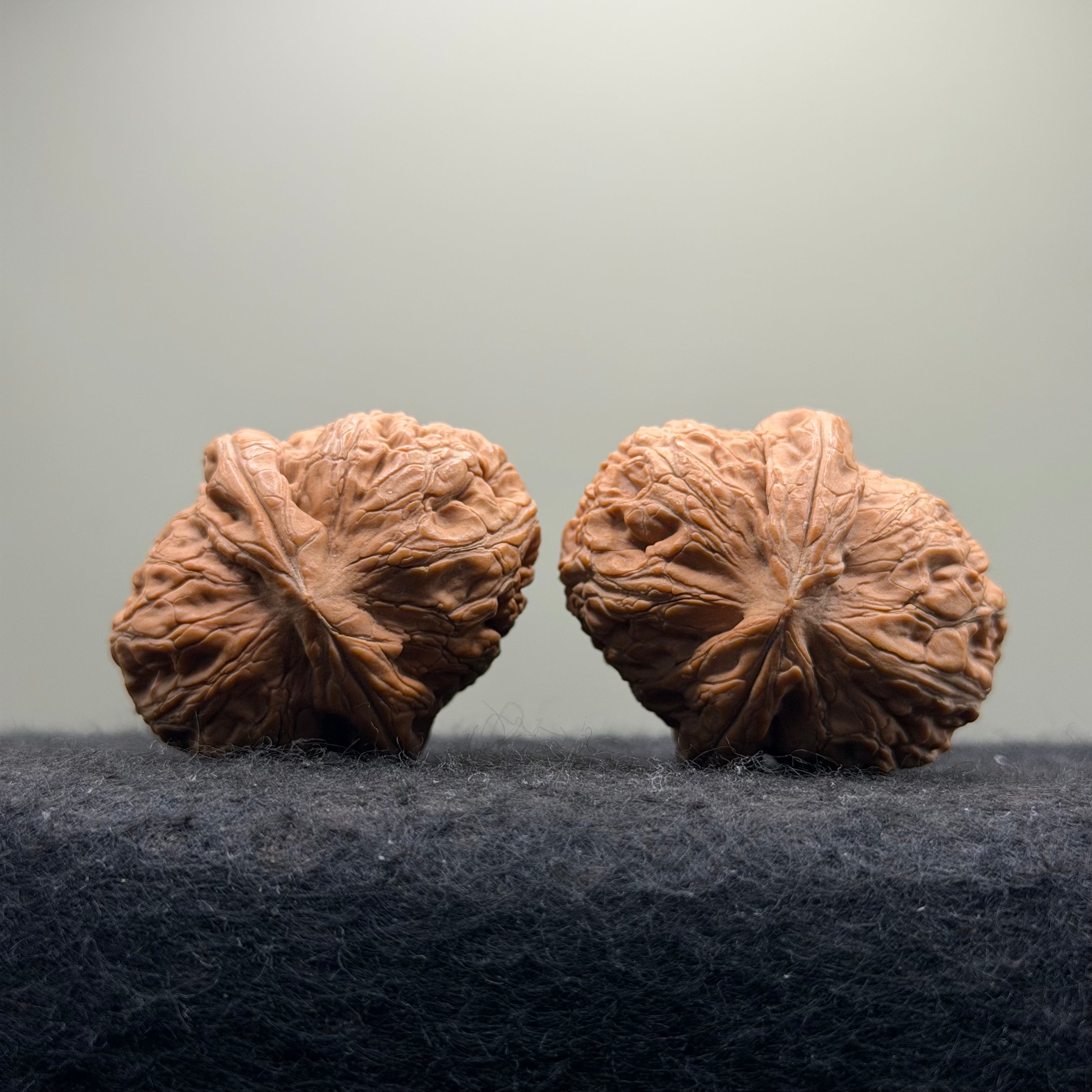 Ingot Wenwan Walnut  · 43mm · Natural · Select Ritual