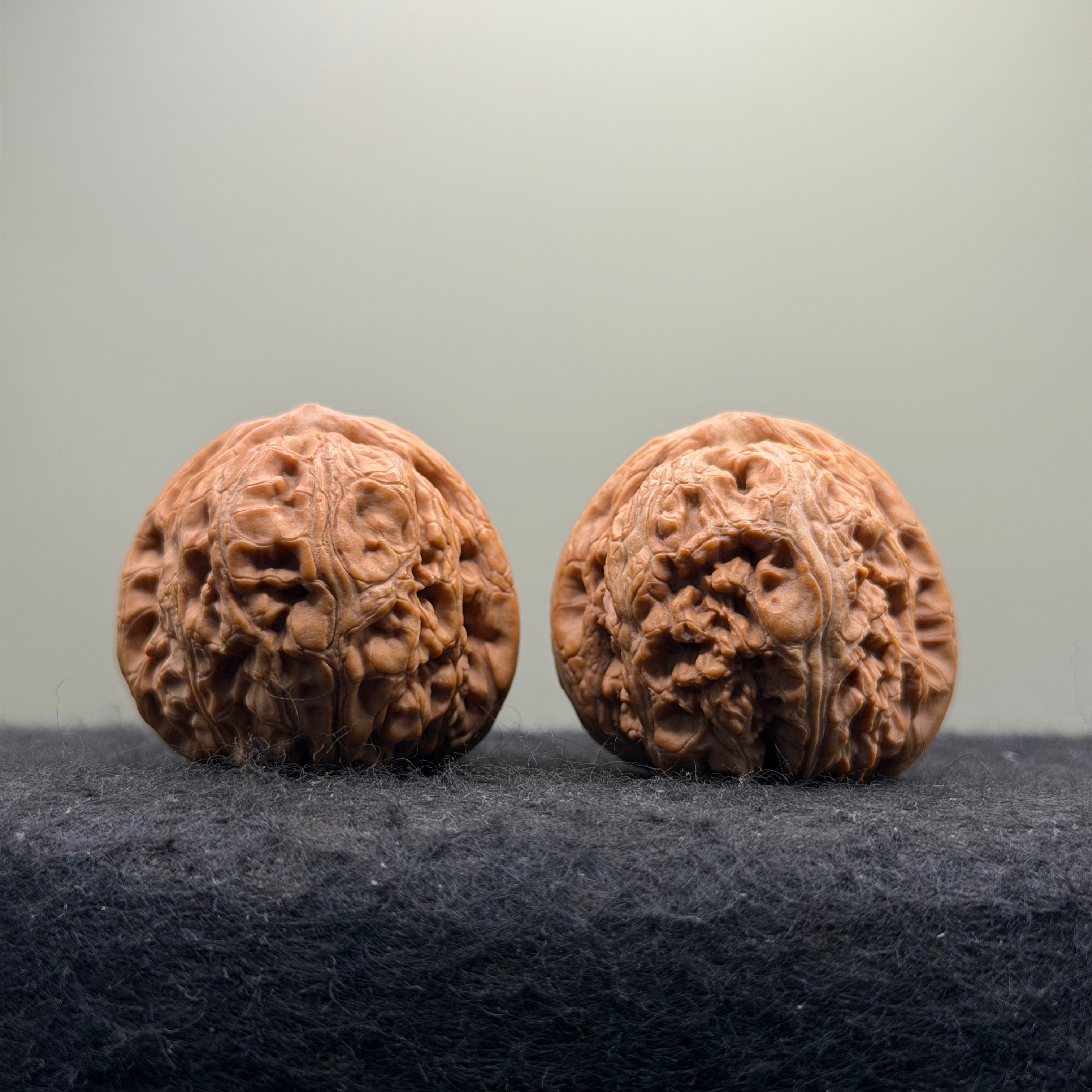 Ingot Wenwan Walnut  · 43mm · Natural · Select Ritual