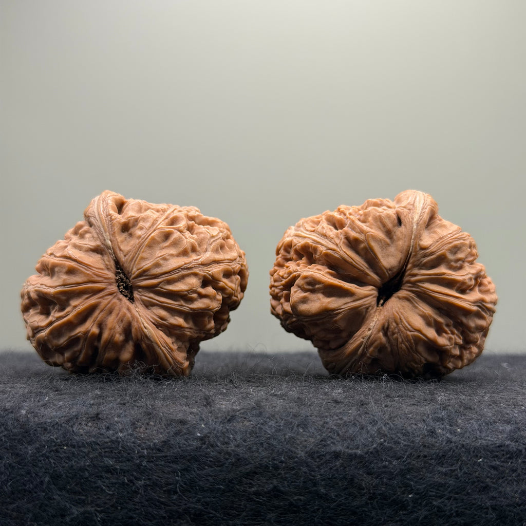Ingot Wenwan Walnut  · 43mm · Natural · Select Ritual