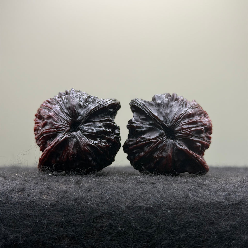 Ghost Rider Prince Hat Wenwan Walnut · 40mm · Select Ritual