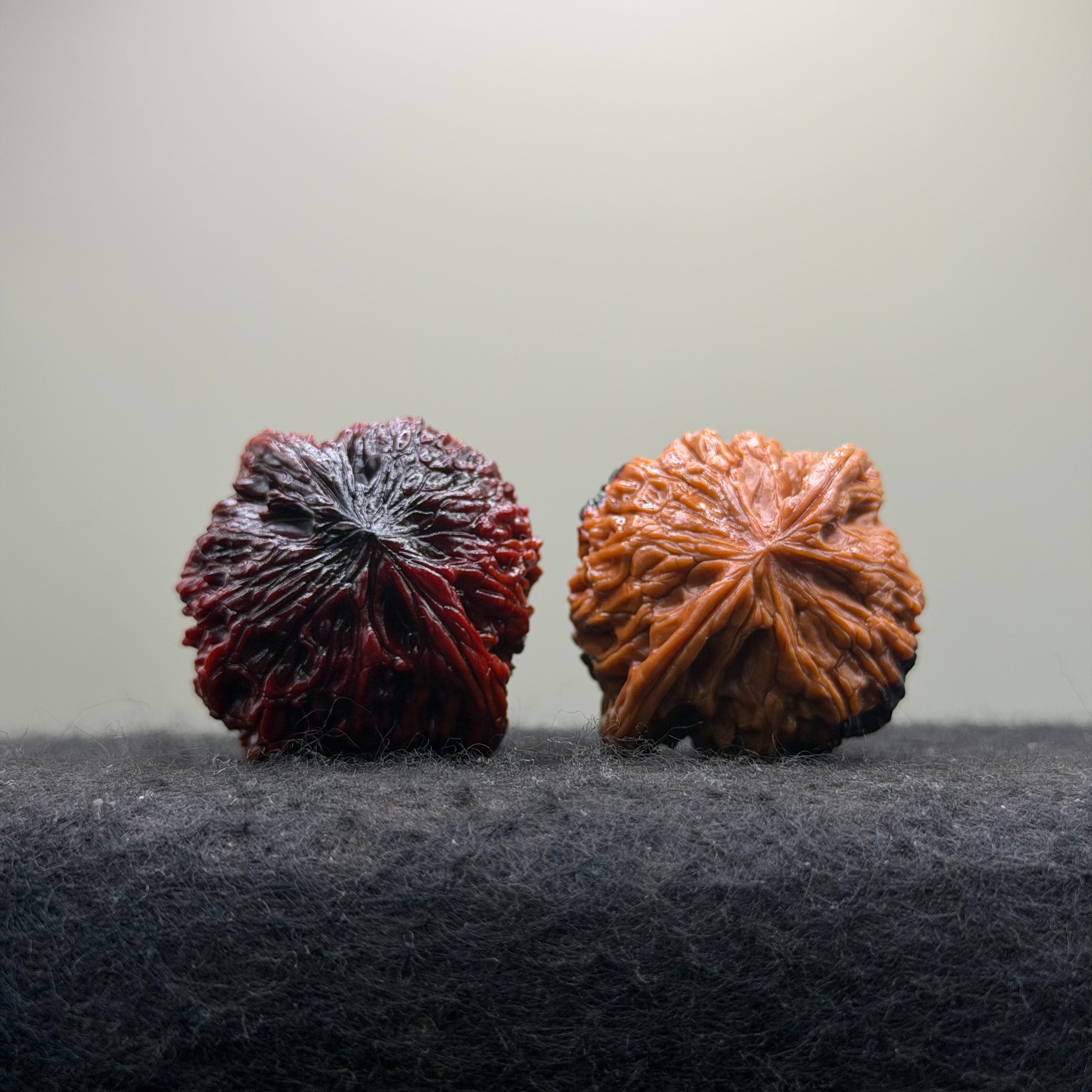Caramel Macchiato Millstone Wenwan Walnut · 40mm · Select Ritual