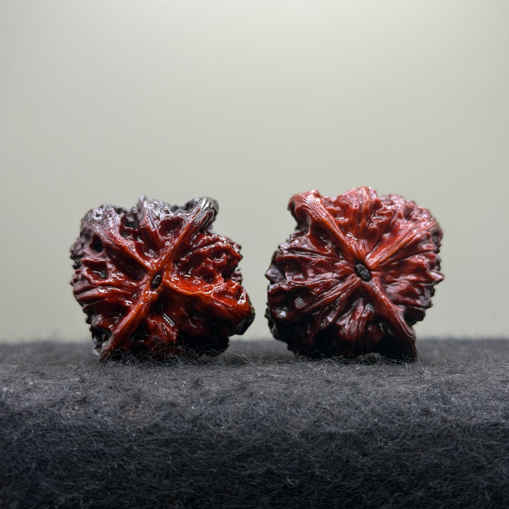 Ghost Rider Wild Wolf Wenwan Walnut · 38mm · Select Ritual