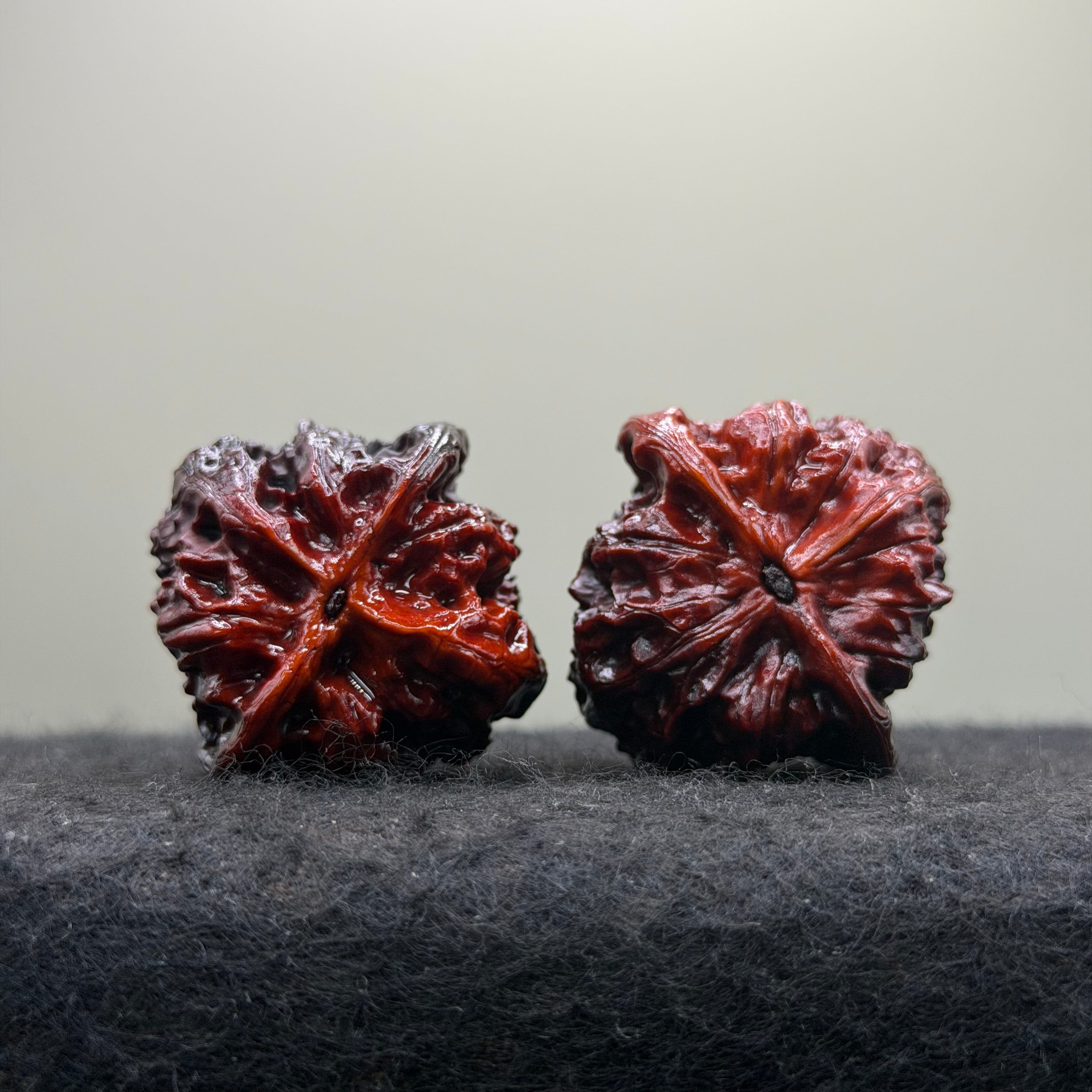 Ghost Rider Wild Wolf Wenwan Walnut · 38mm · Select Ritual