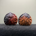 Angel & Demon Prince Hat Wenwan Walnut · 37mm · Select Ritual