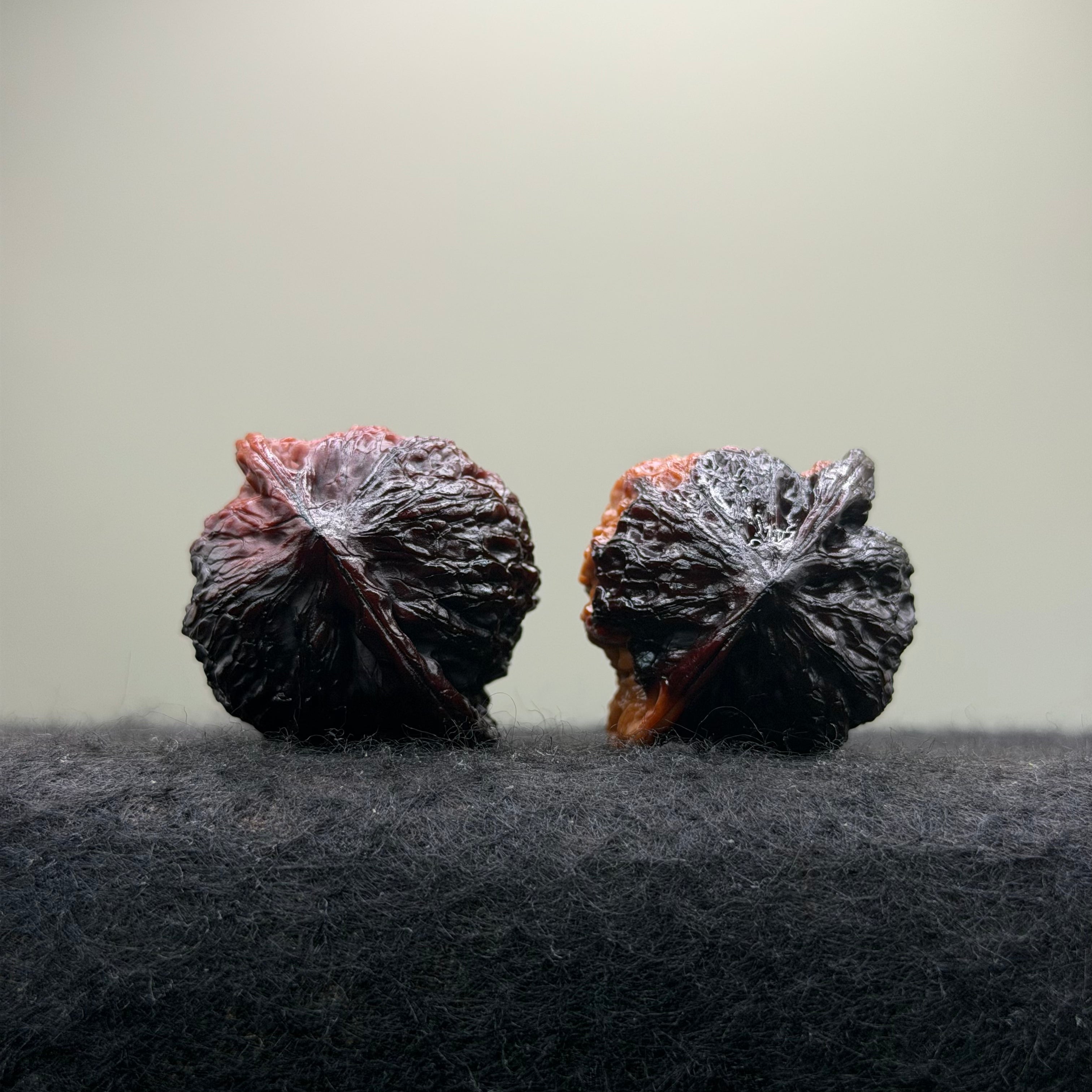 Angel & Demon Prince Hat Wenwan Walnut · 37mm · Select Ritual