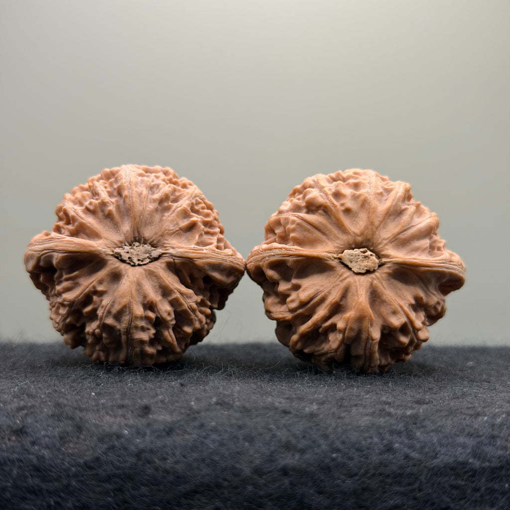 Palace Lantern Wenwan Walnut · 42mm · Natural · Select Ritual