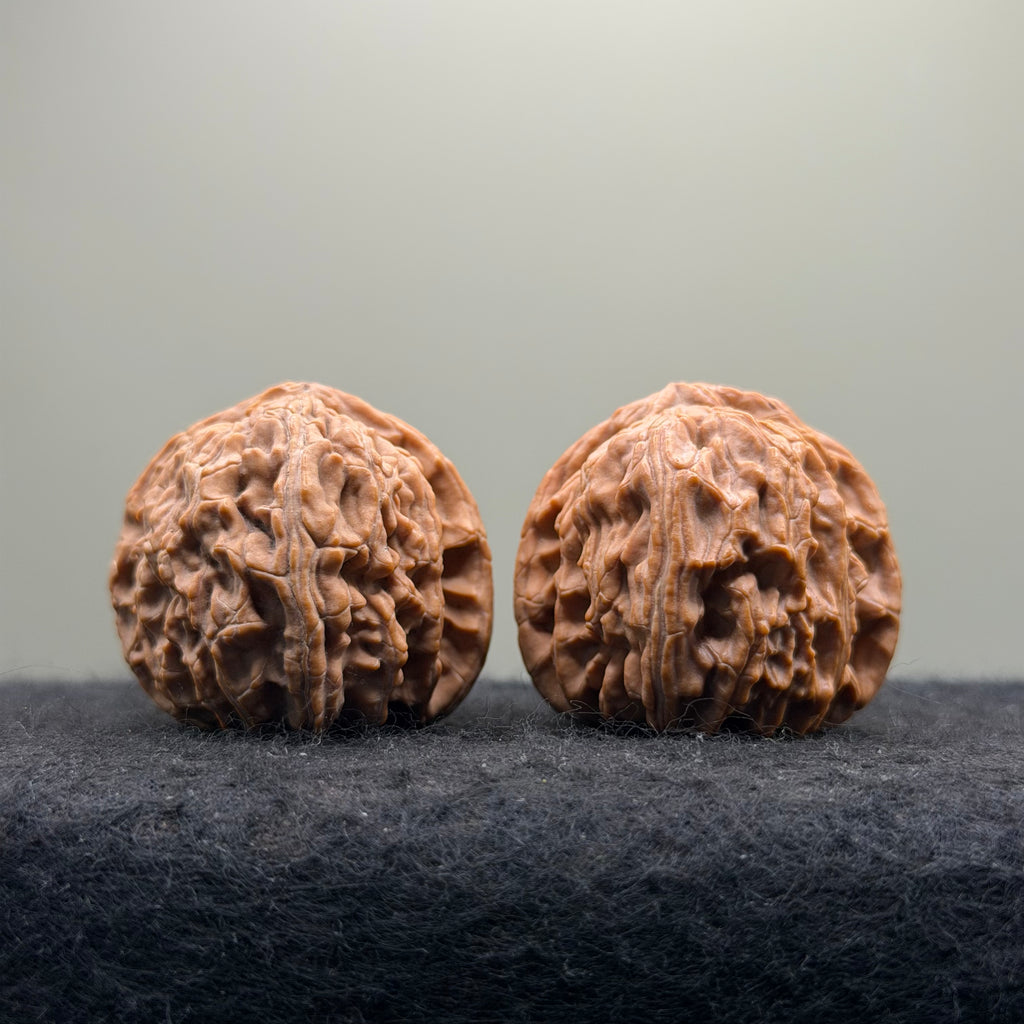 White Lion Wenwan Walnut · 38mm · Natural · Select Ritual