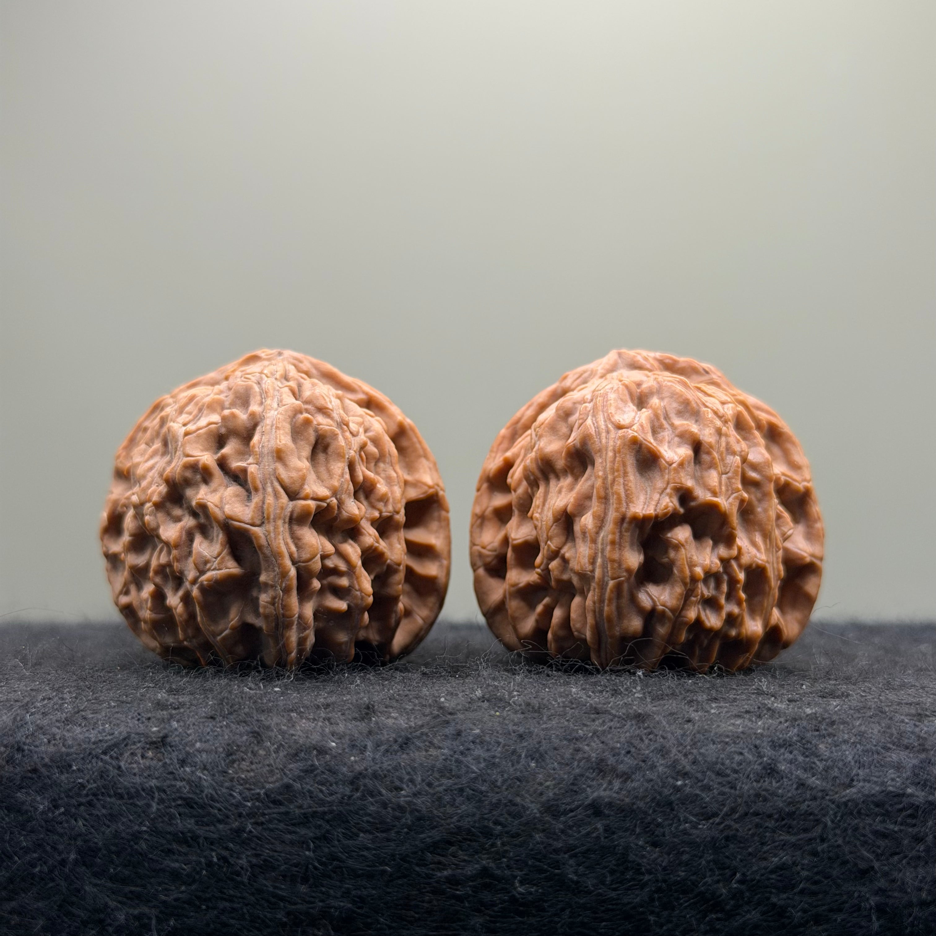 White Lion Wenwan Walnut · 38mm · Natural · Select Ritual