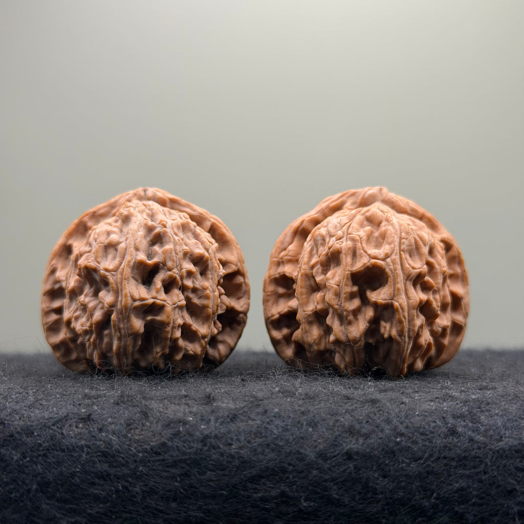 White Lion Wenwan Walnut · 38mm · Natural · Select Ritual