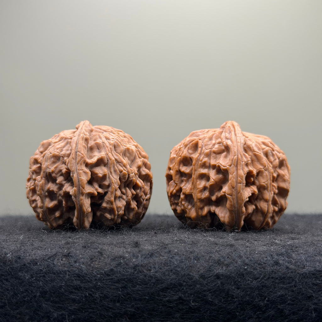 White Lion Wenwan Walnut · 38mm · Natural · Select Ritual
