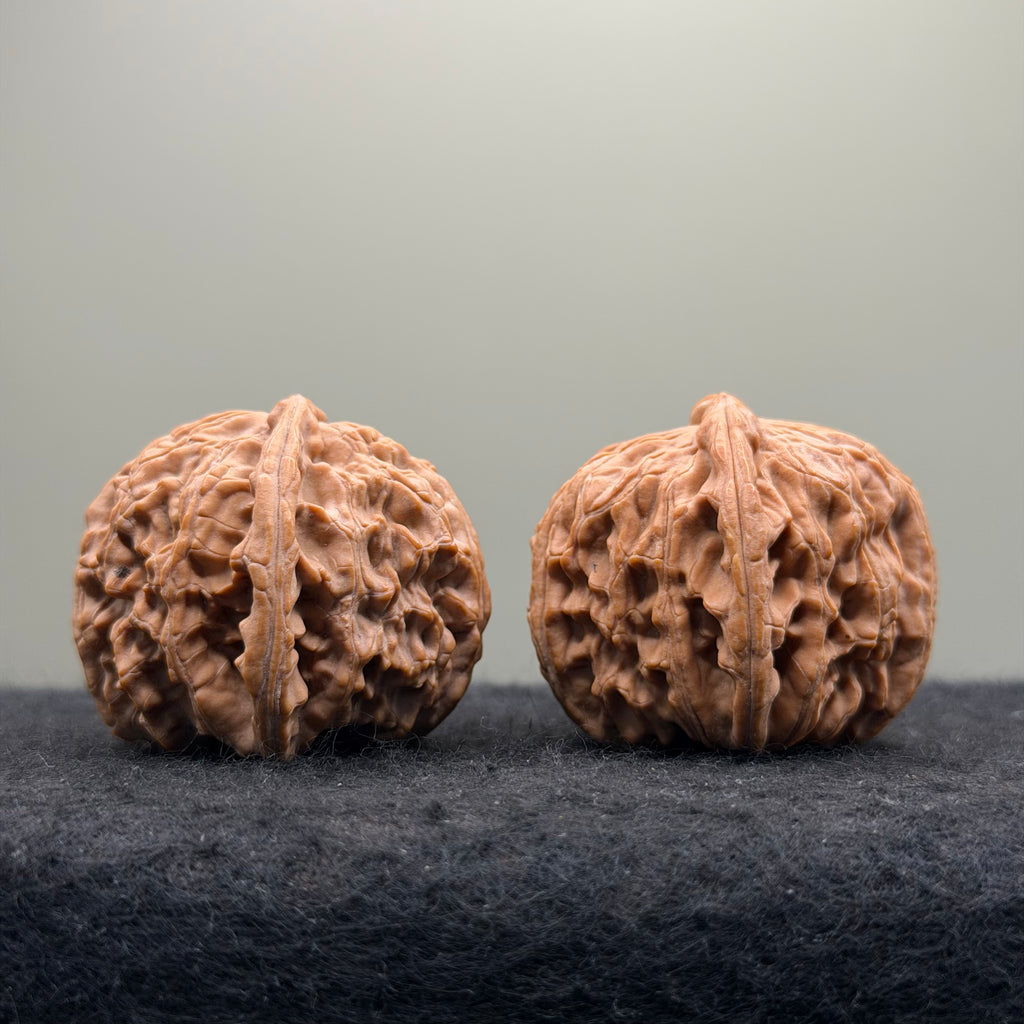 White Lion Wenwan Walnut · 38mm · Natural · Select Ritual