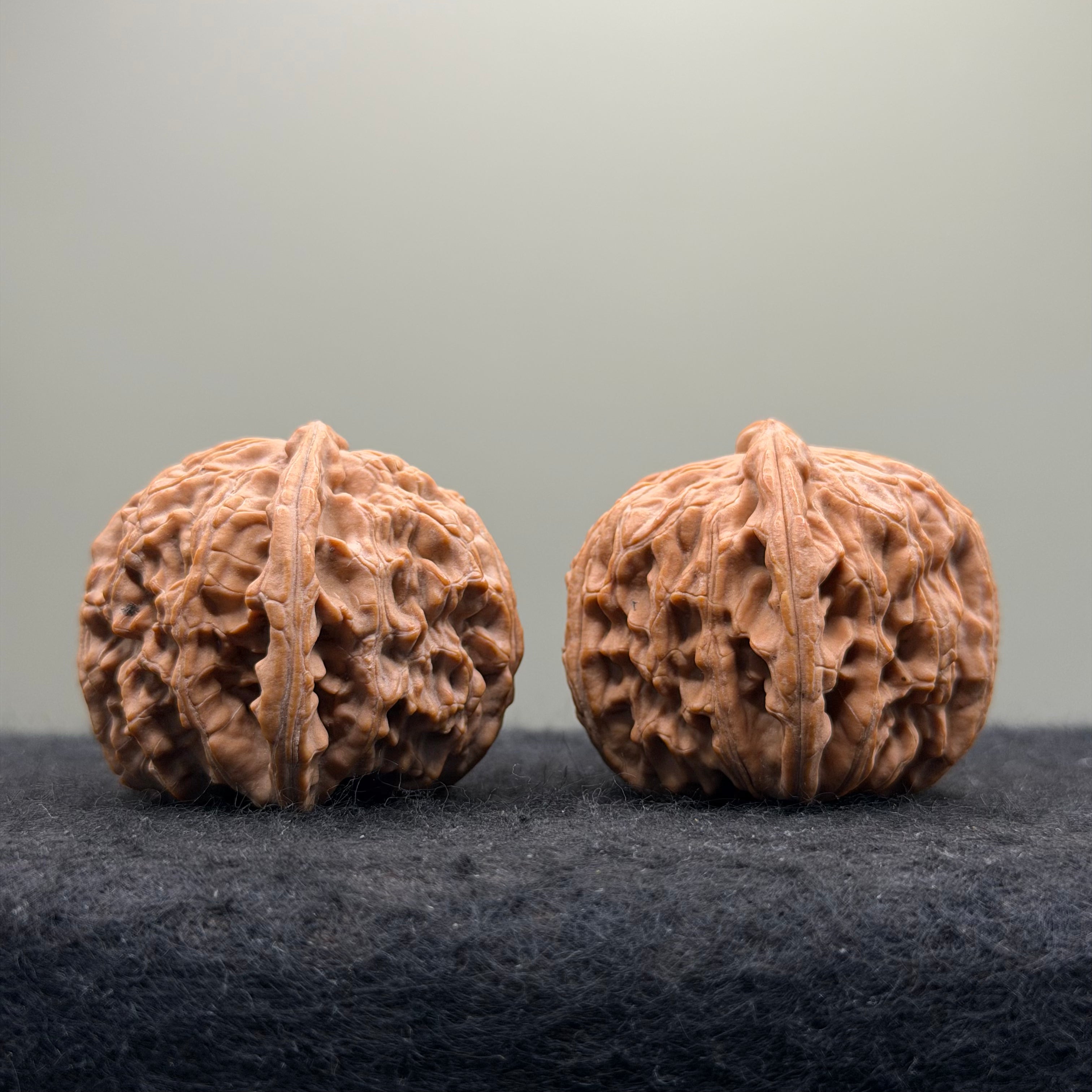 White Lion Wenwan Walnut · 38mm · Natural · Select Ritual