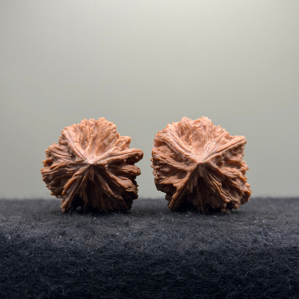 Three-Rib Wenwan Walnut · 34mm · Natural · Entry Ritual