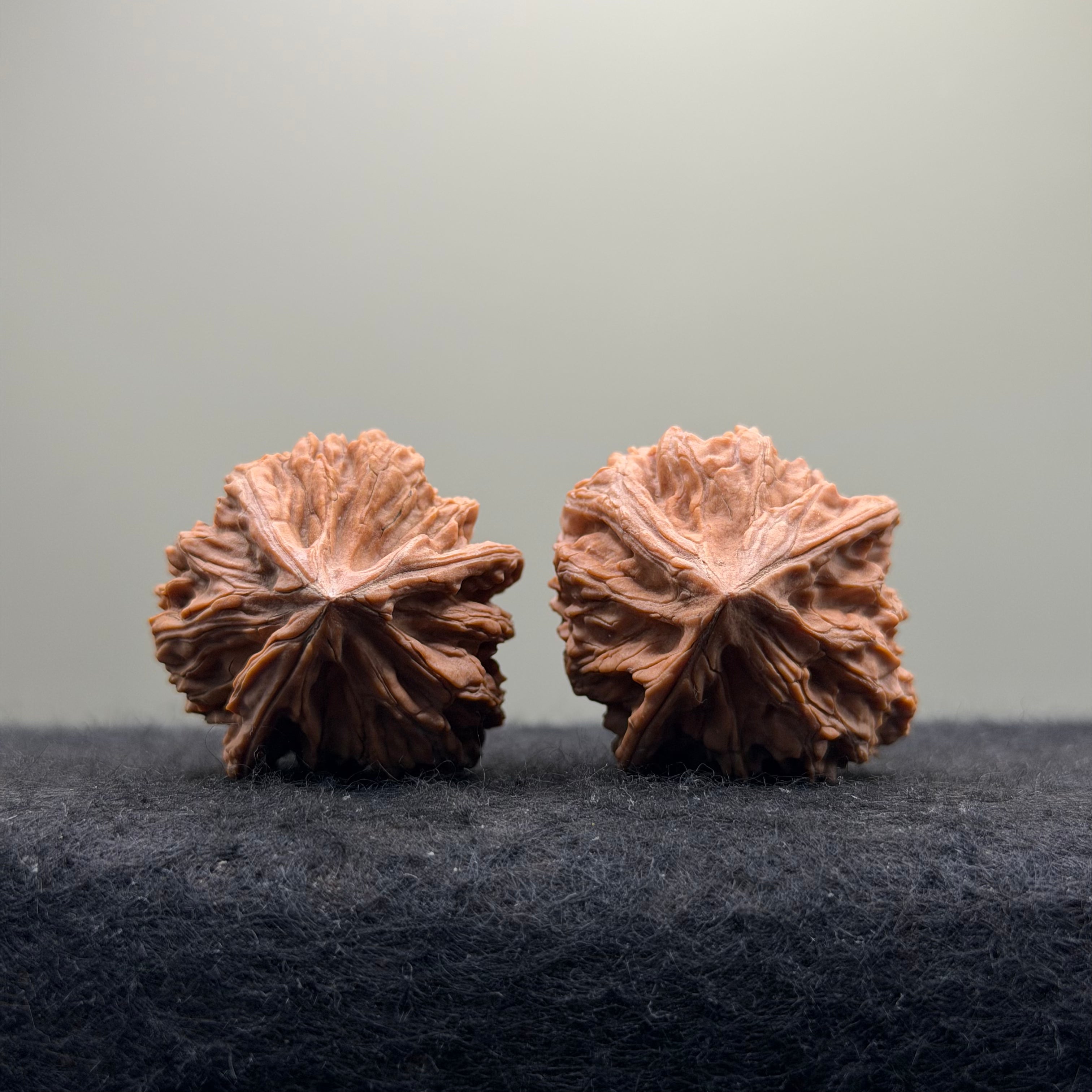 Three-Rib Wenwan Walnut · 34mm · Natural · Entry Ritual
